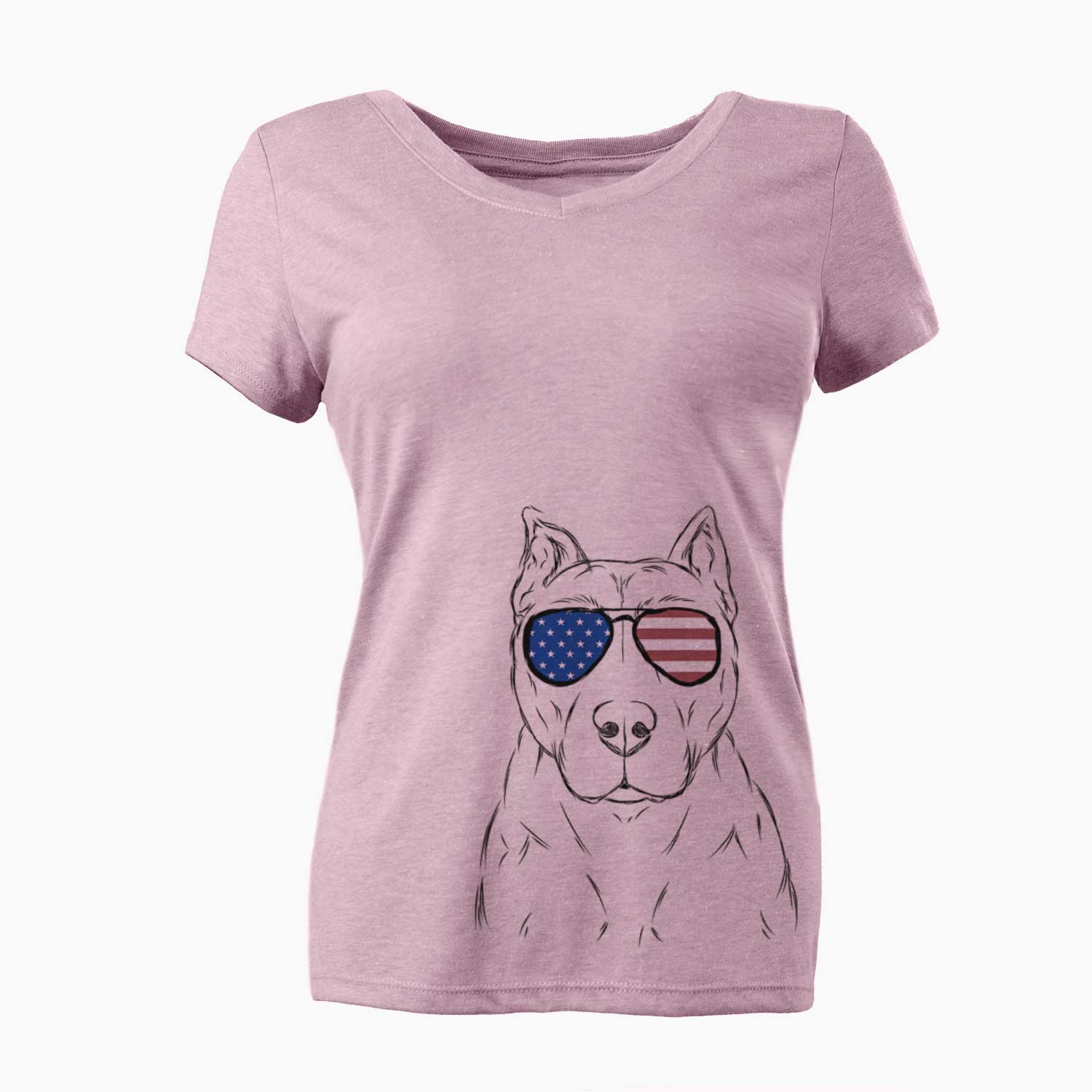 USA Bane the Pitbull Mix - Women's Perfect V-neck Shirt