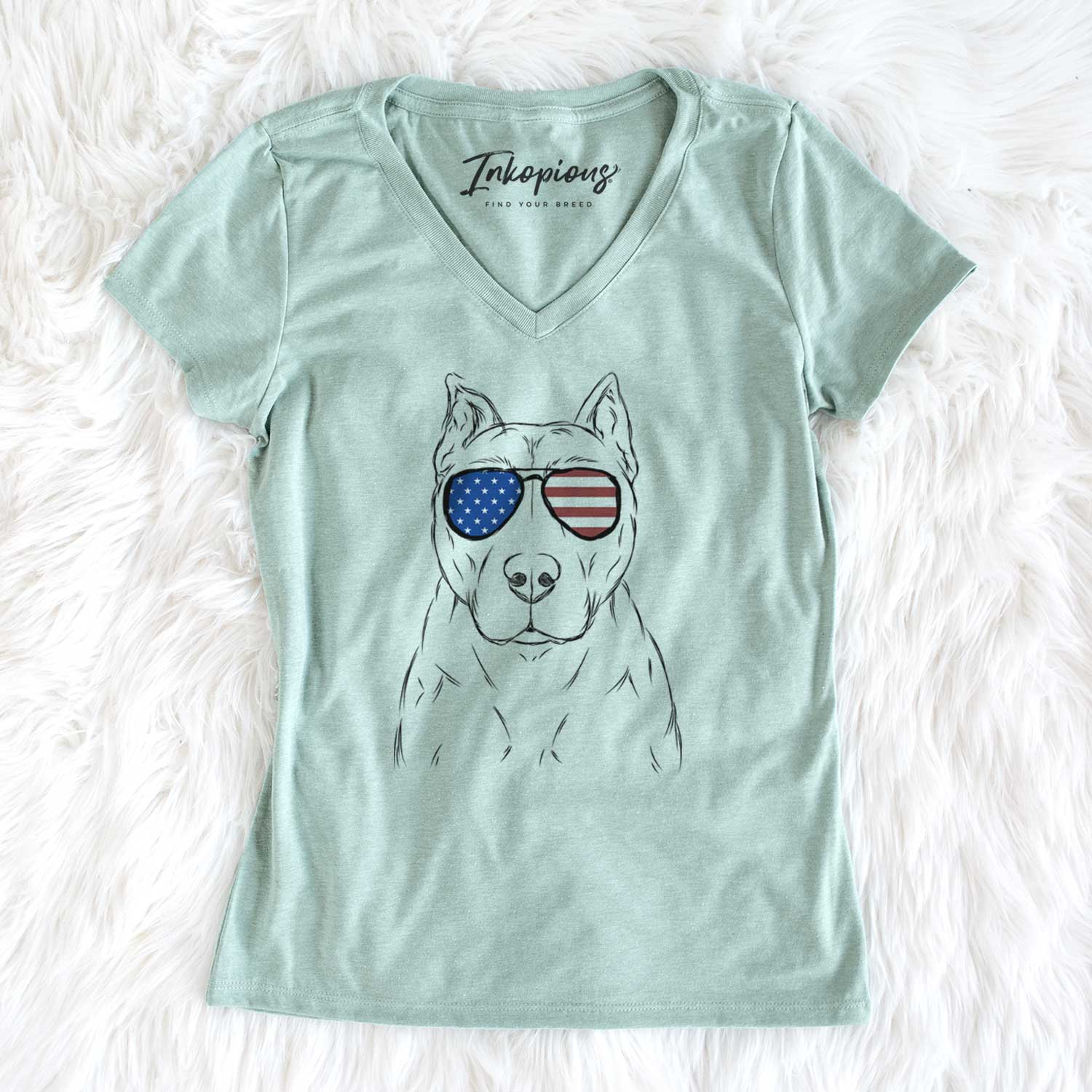 USA Bane the Pitbull Mix - Women's Perfect V-neck Shirt