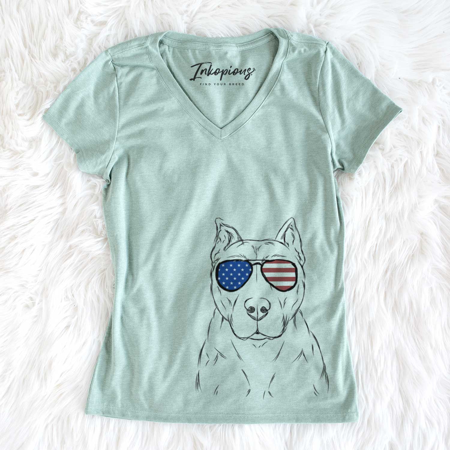 USA Bane the Pitbull Mix - Women's Perfect V-neck Shirt