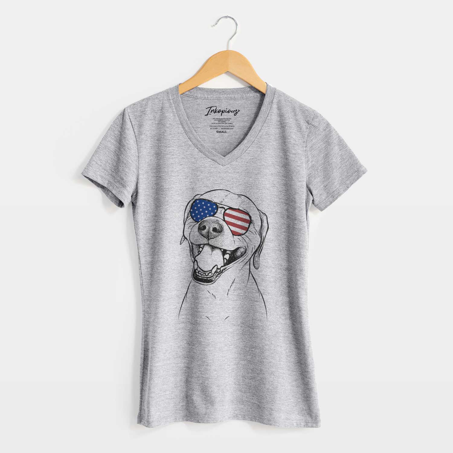 USA Beemer the Boxer Pitbull Terrier Mix - Women's Perfect V-neck Shirt