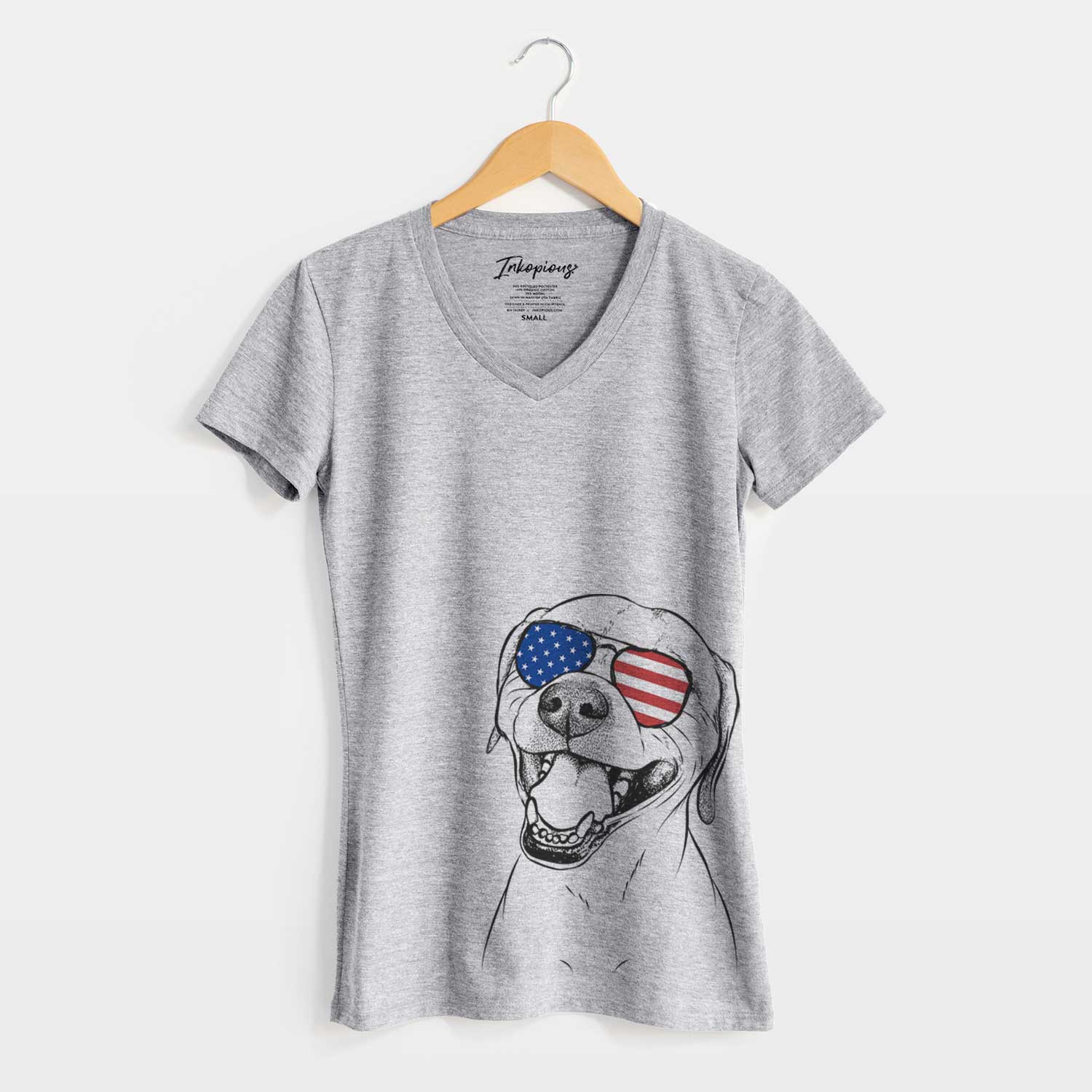 USA Beemer the Boxer Pitbull Terrier Mix - Women's Perfect V-neck Shirt