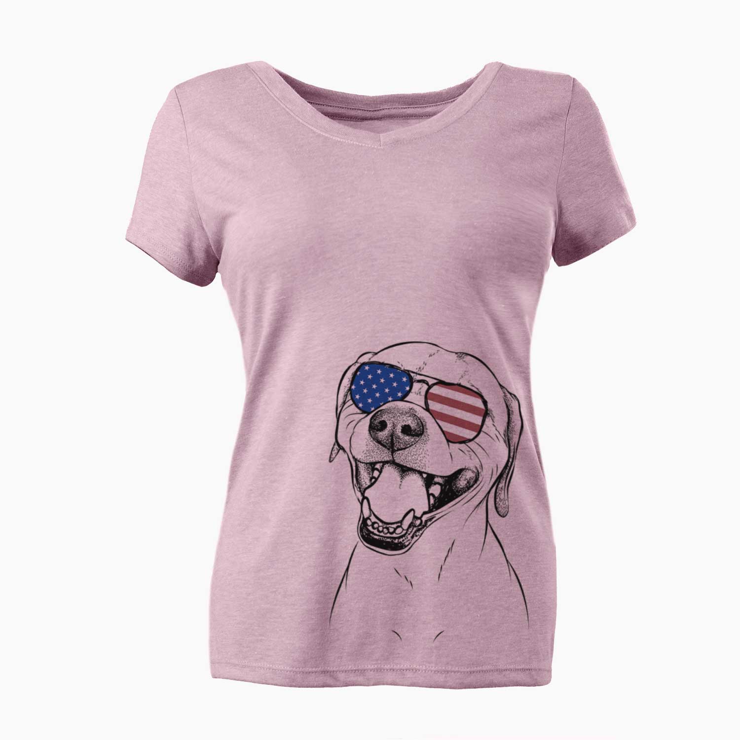 USA Beemer the Boxer Pitbull Terrier Mix - Women's Perfect V-neck Shirt