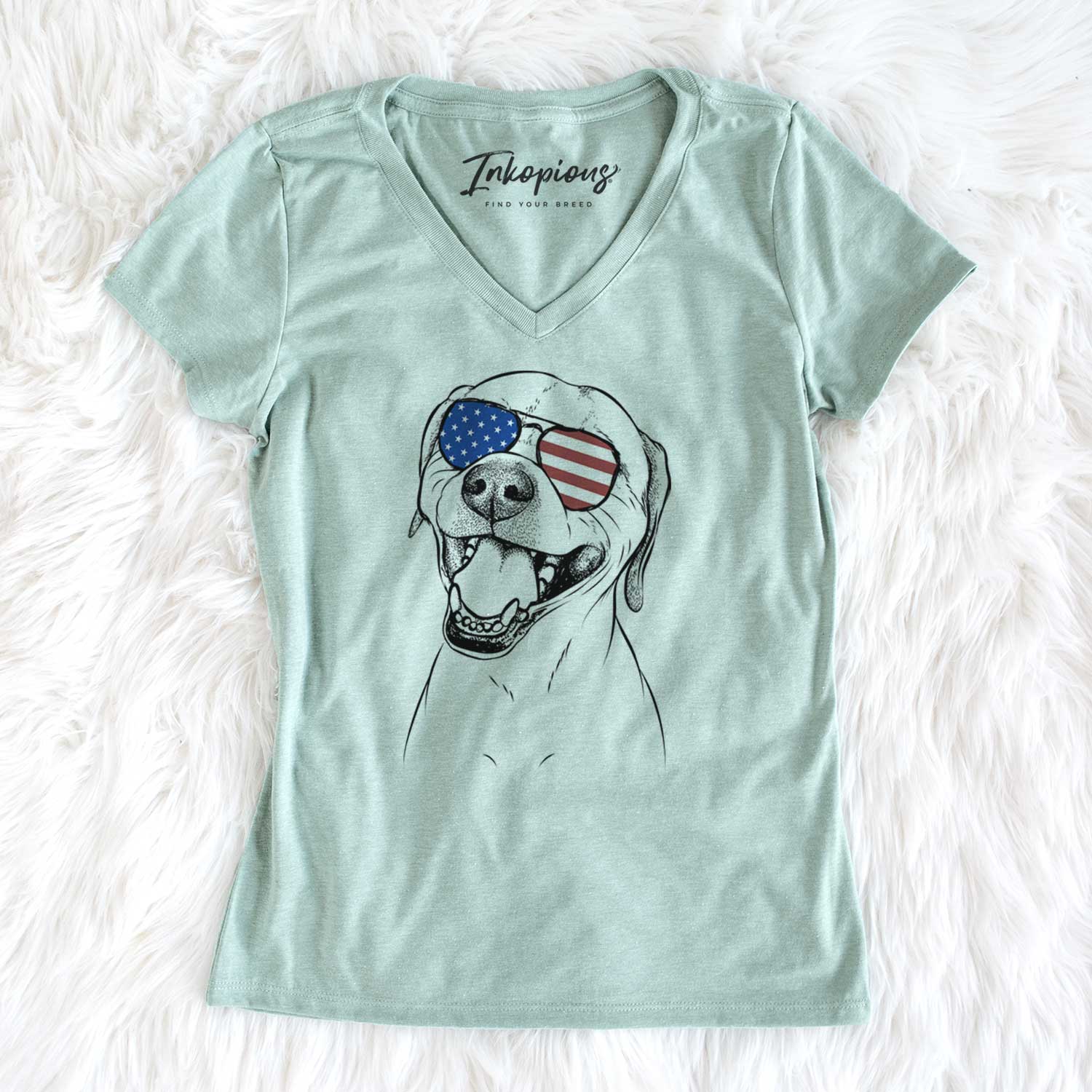 USA Beemer the Boxer Pitbull Terrier Mix - Women's Perfect V-neck Shirt