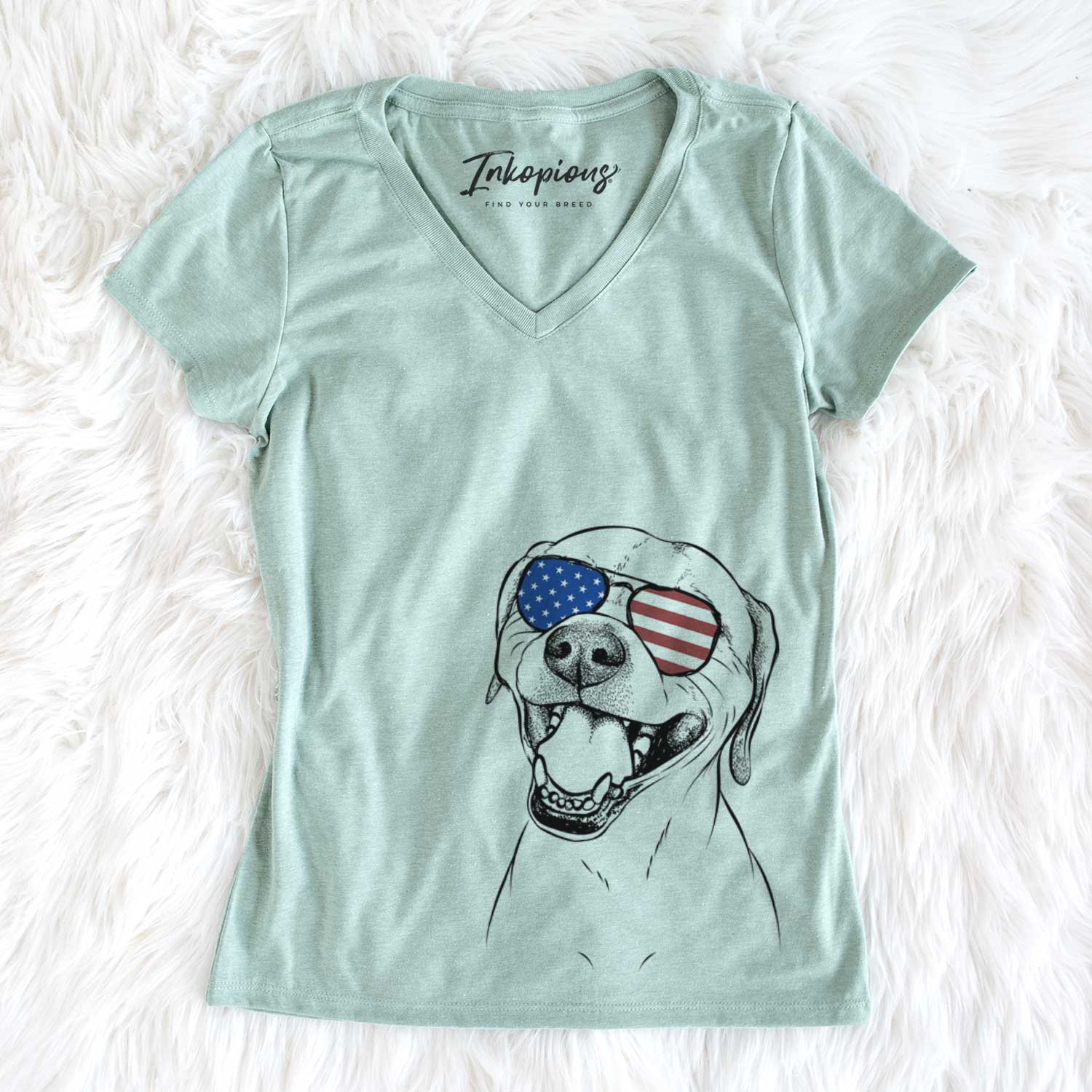 USA Beemer the Boxer Pitbull Terrier Mix - Women's Perfect V-neck Shirt