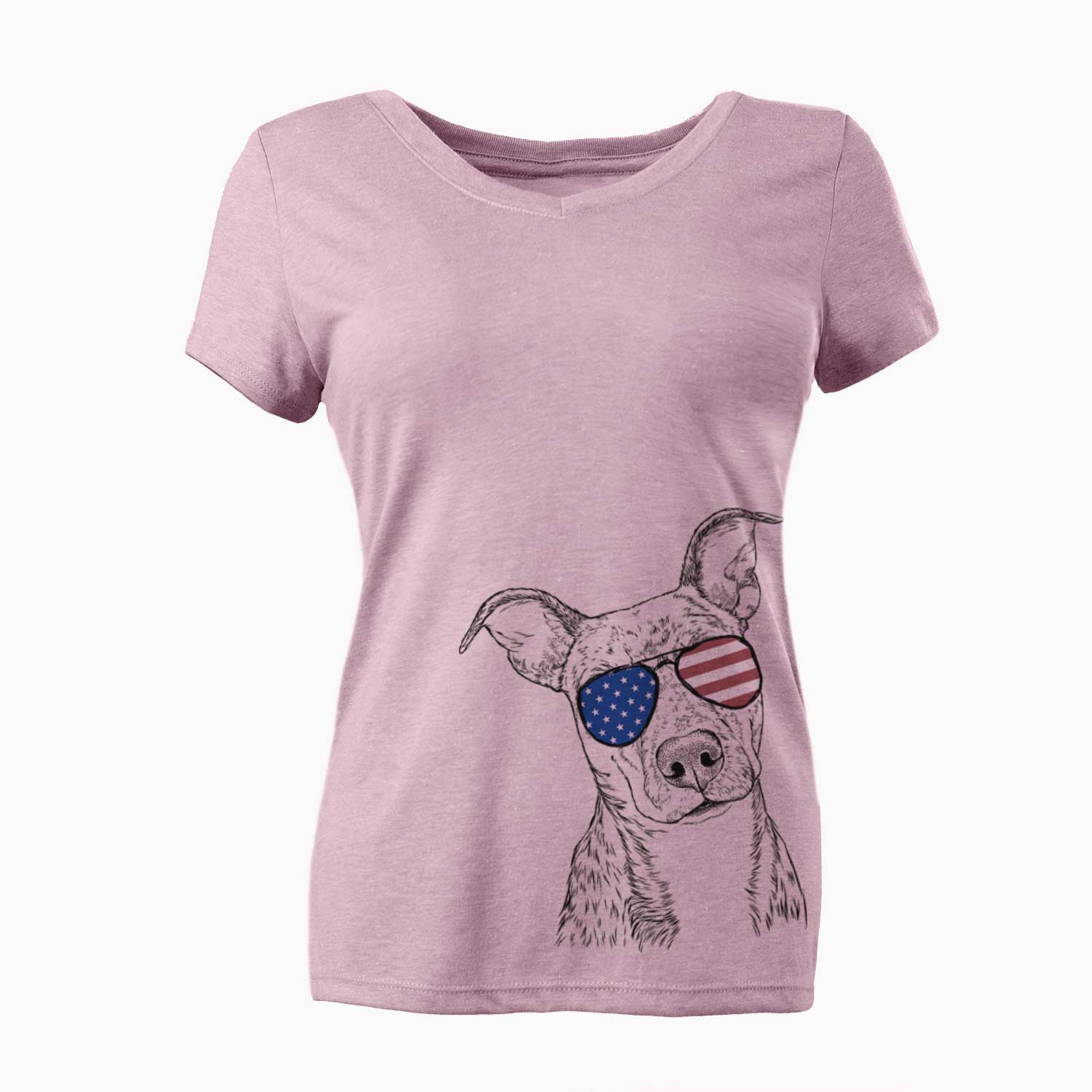 USA Bianca the Mixed Breed - Women's Perfect V-neck Shirt