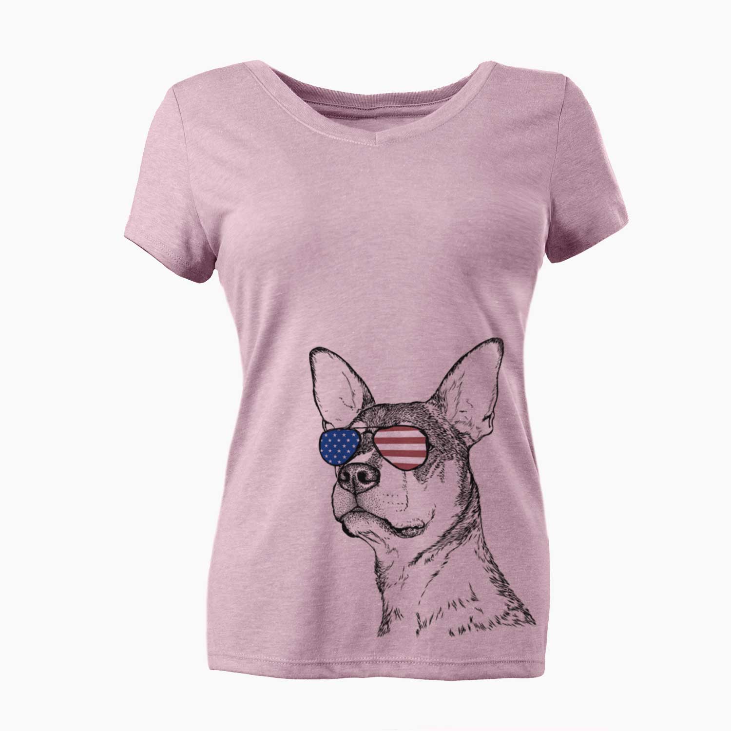 USA Bill the Heeler Mix - Women's Perfect V-neck Shirt