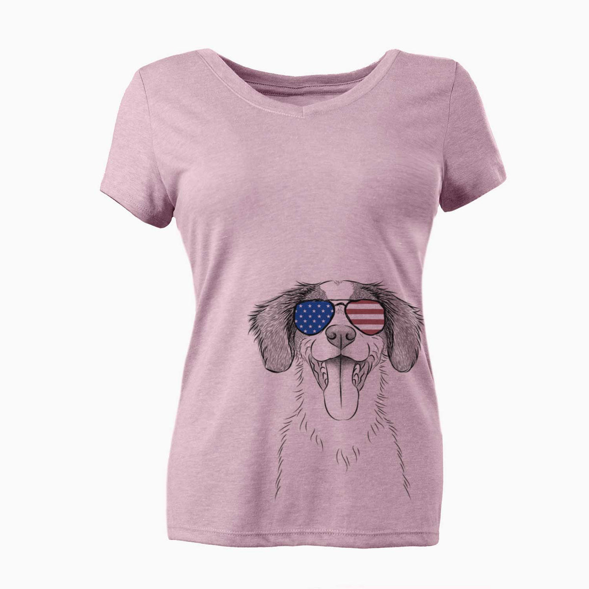 USA Birdie the Brittany - Women's Perfect V-neck Shirt