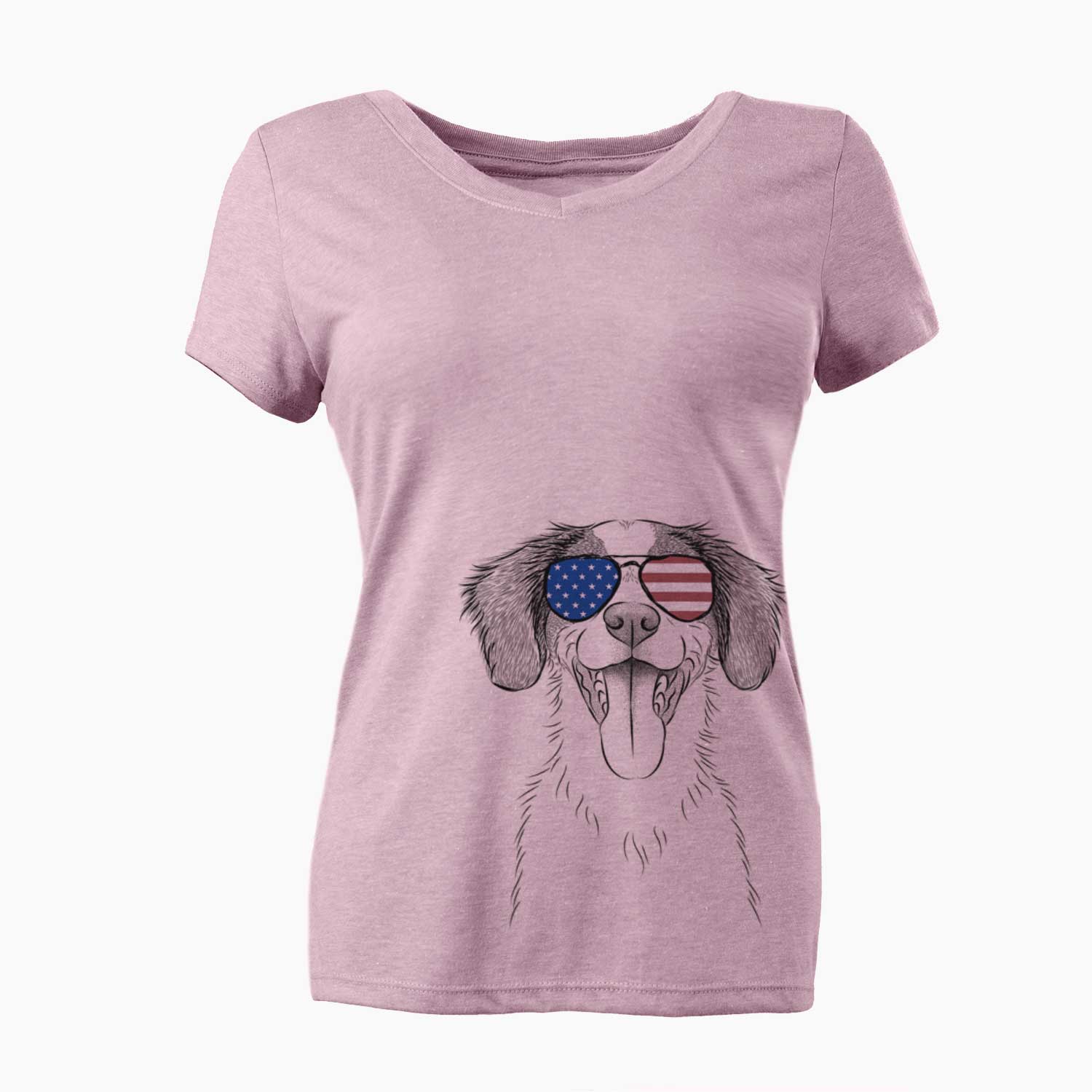 USA Birdie the Brittany - Women's Perfect V-neck Shirt