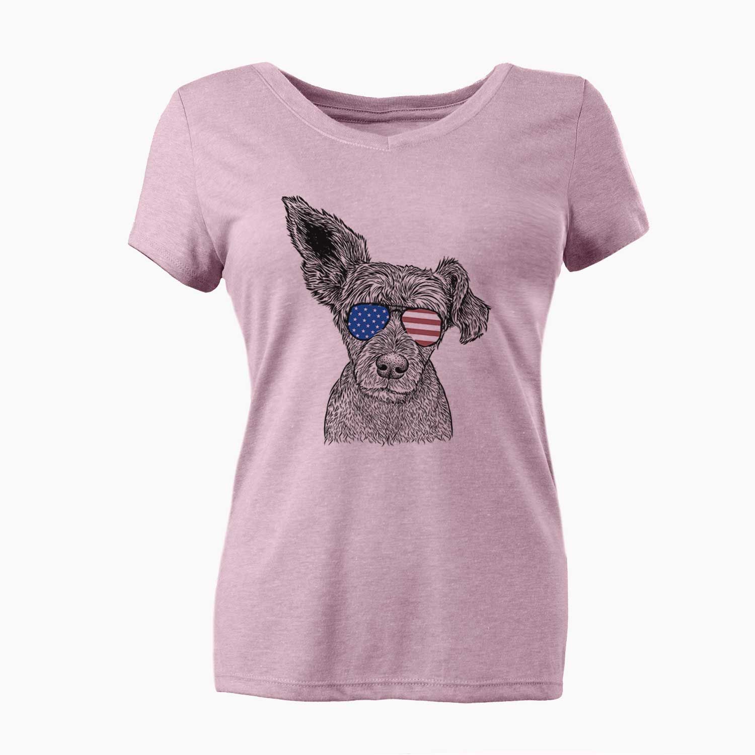 USA Boodles the Schnauzer Mix - Women's Perfect V-neck Shirt