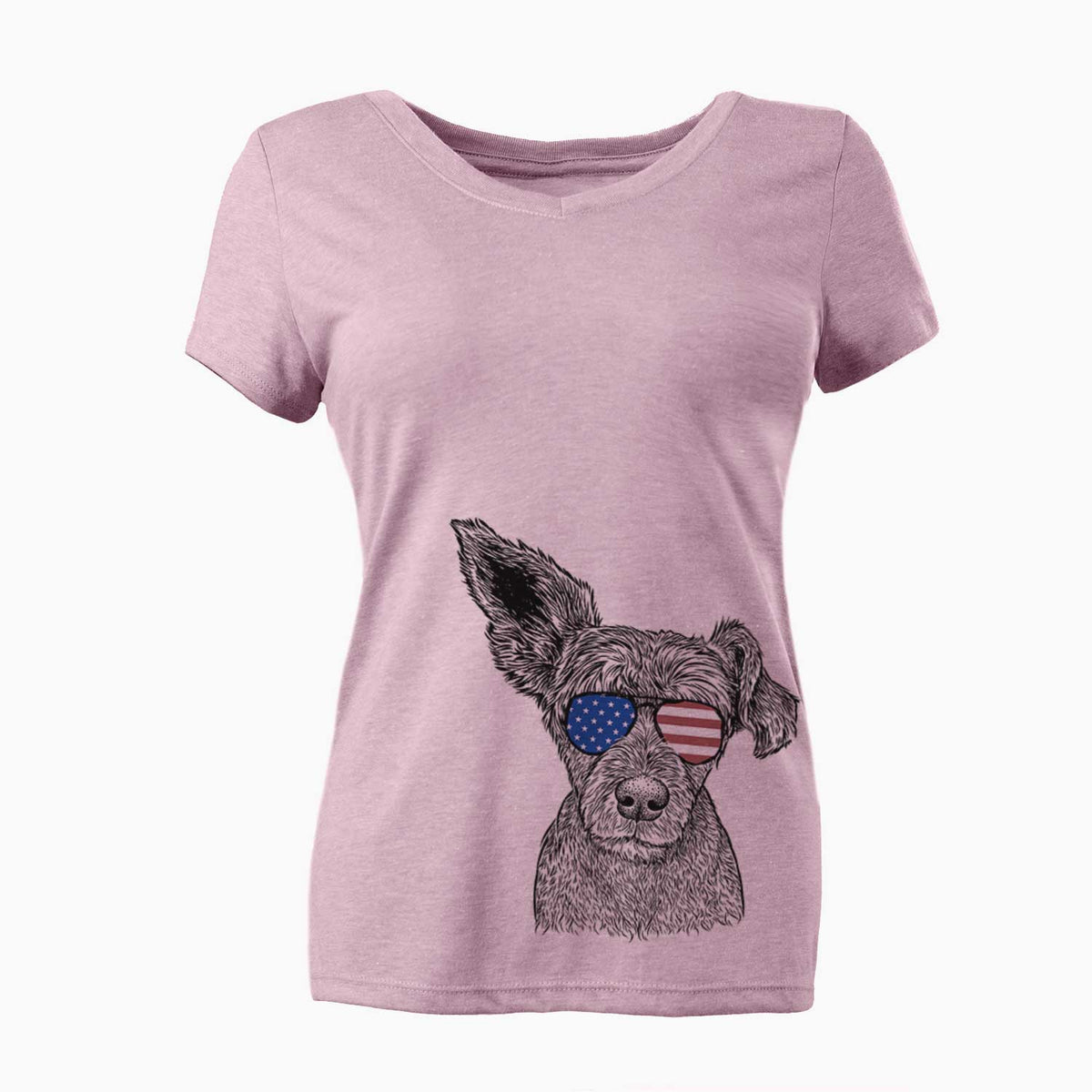 USA Boodles the Schnauzer Mix - Women's Perfect V-neck Shirt