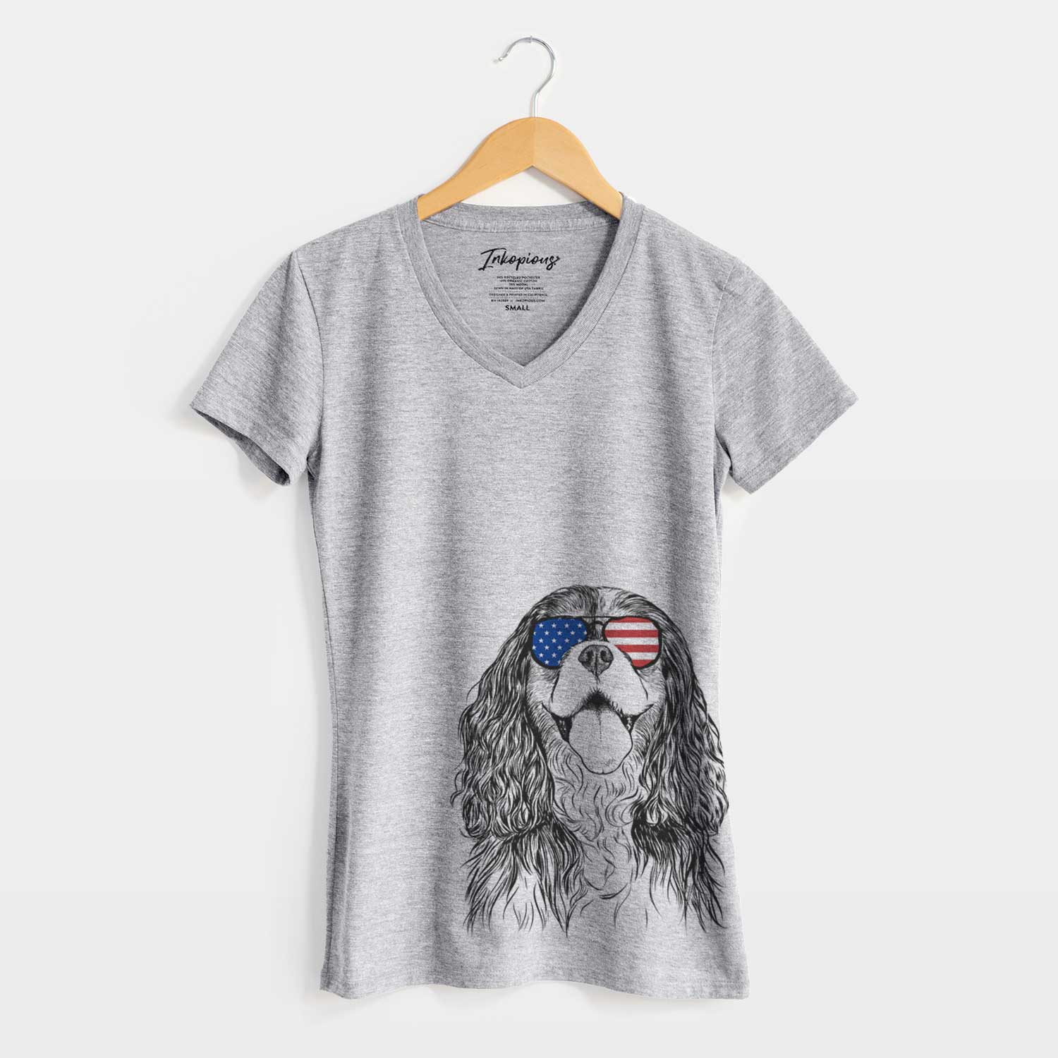 USA Brandy the Cavalier King Charles Spaniel - Women's Perfect V-neck Shirt