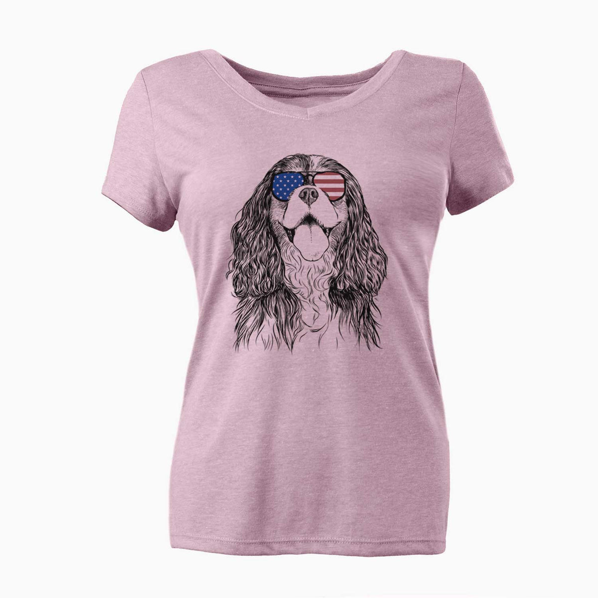USA Brandy the Cavalier King Charles Spaniel - Women's Perfect V-neck Shirt