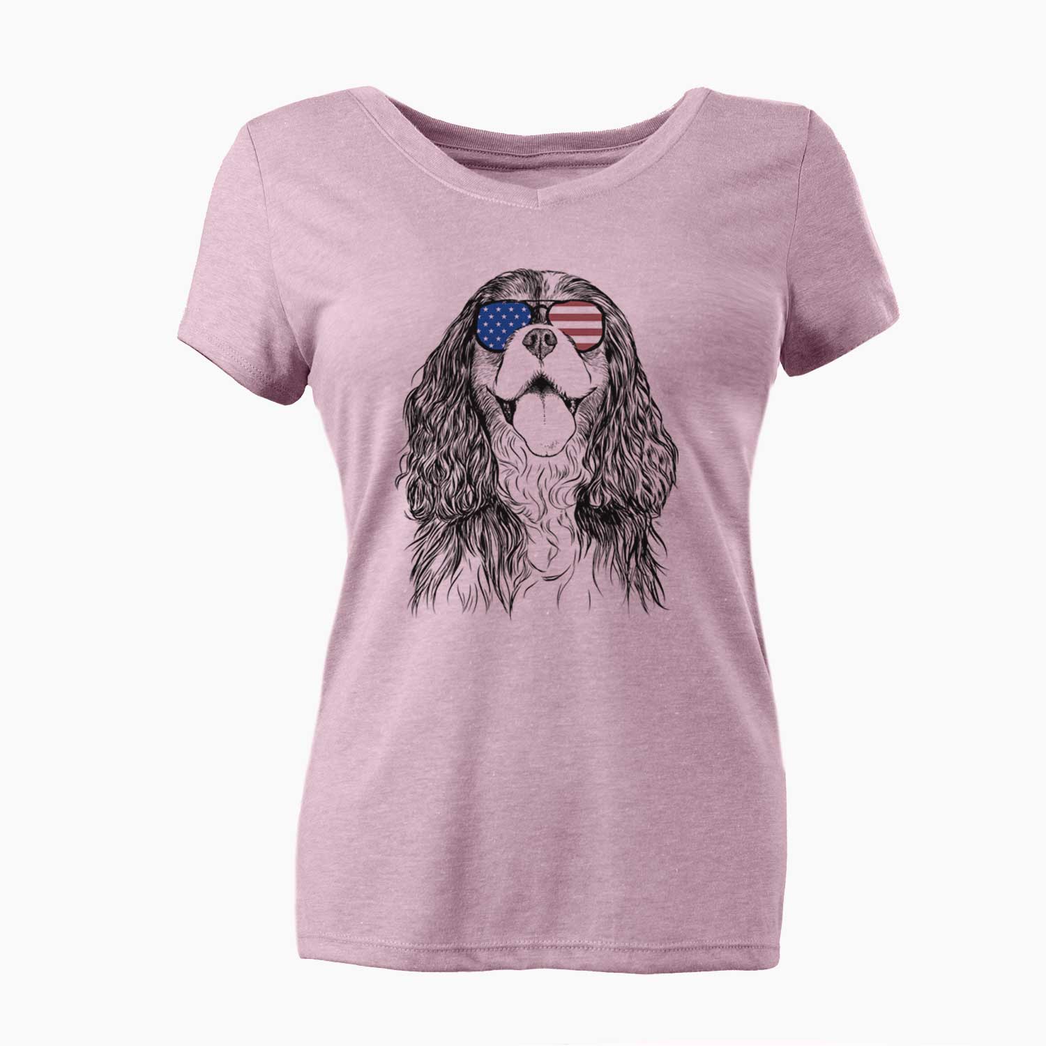 USA Brandy the Cavalier King Charles Spaniel - Women's Perfect V-neck Shirt