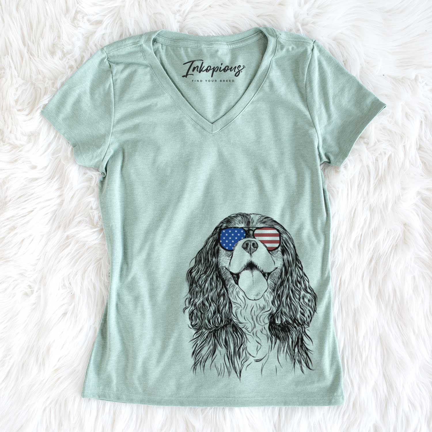 USA Brandy the Cavalier King Charles Spaniel - Women's Perfect V-neck Shirt