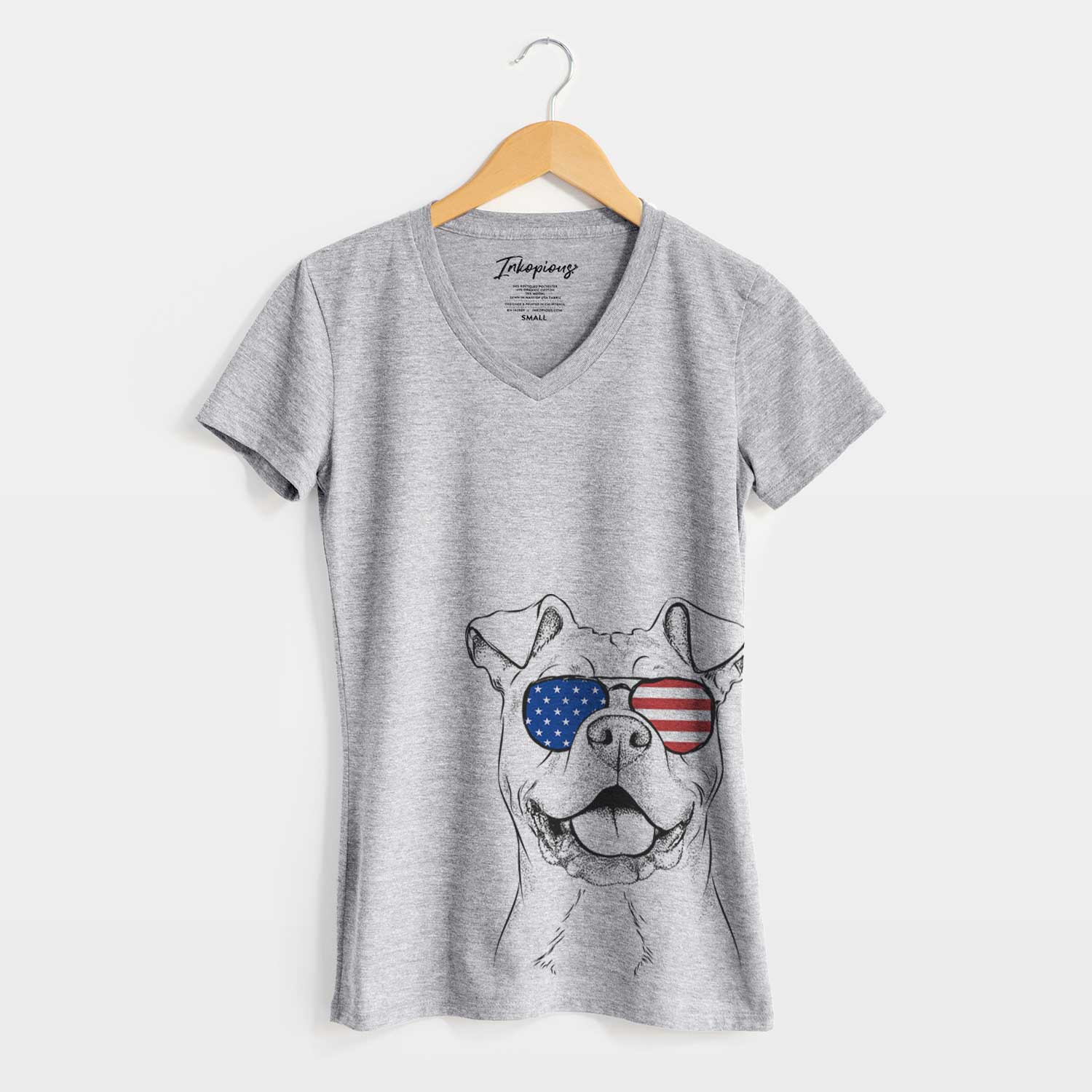 USA Bubba Scraps the American Staffordshire Mix - Women's Perfect V-neck Shirt