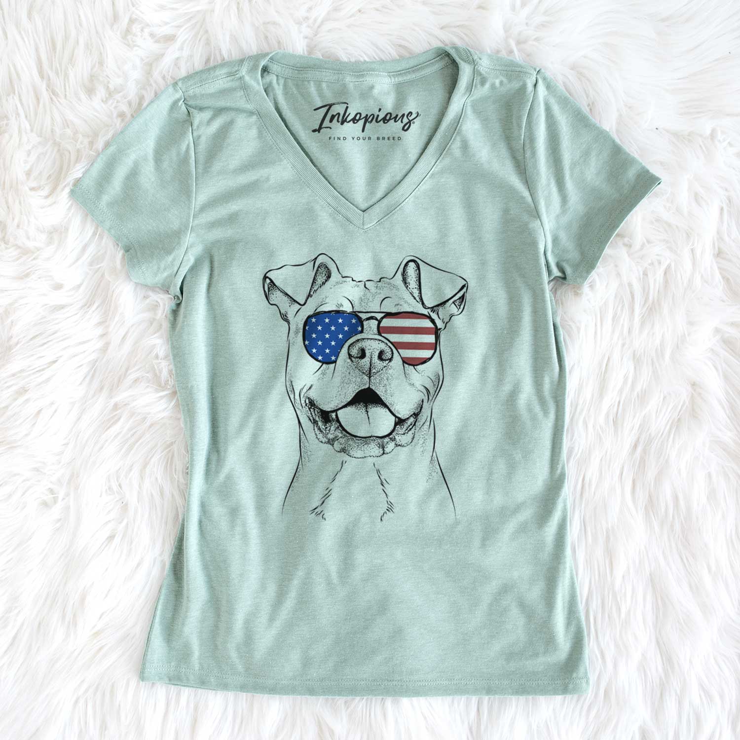 USA Bubba Scraps the American Staffordshire Mix - Women's Perfect V-neck Shirt