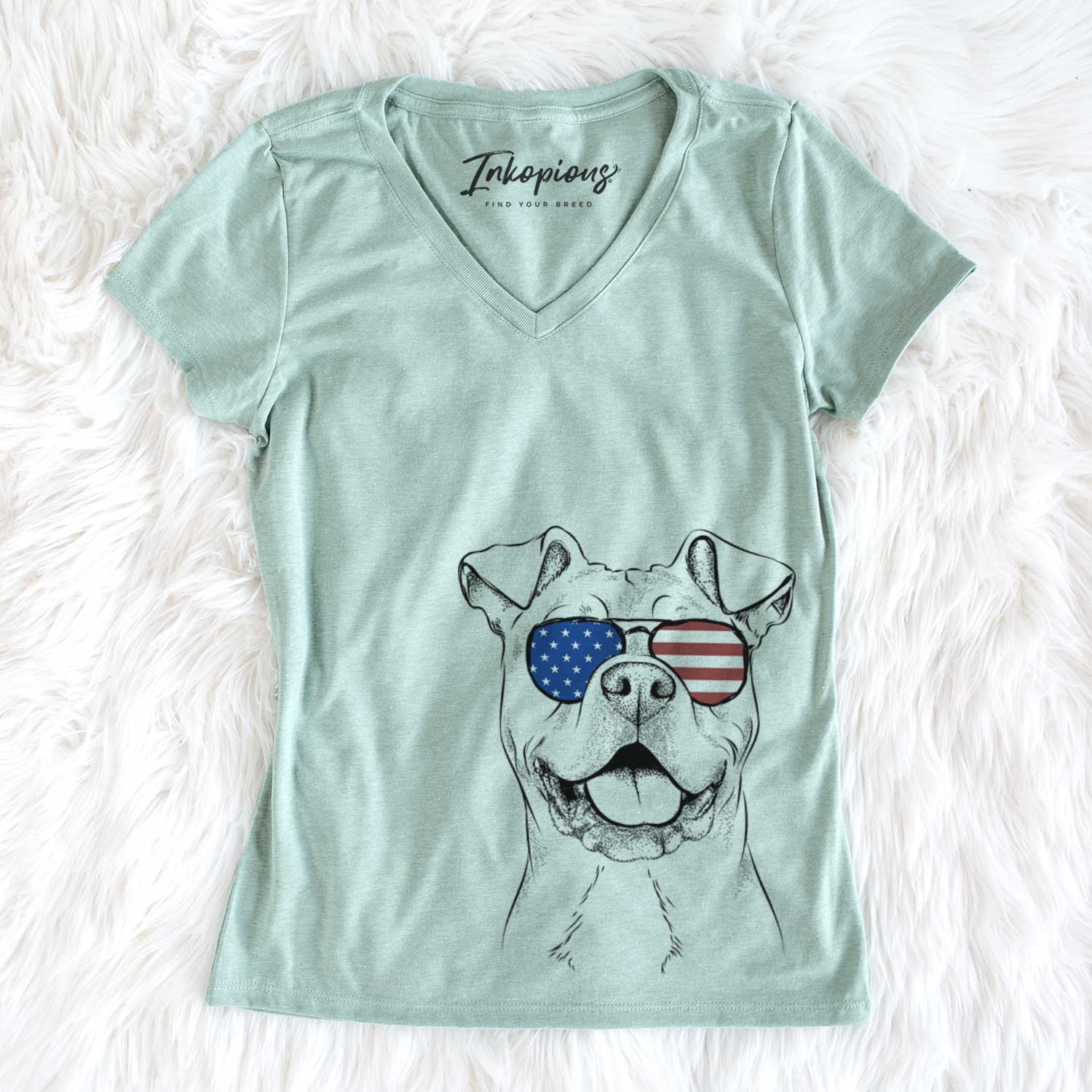 USA Bubba Scraps the American Staffordshire Mix - Women's Perfect V-neck Shirt