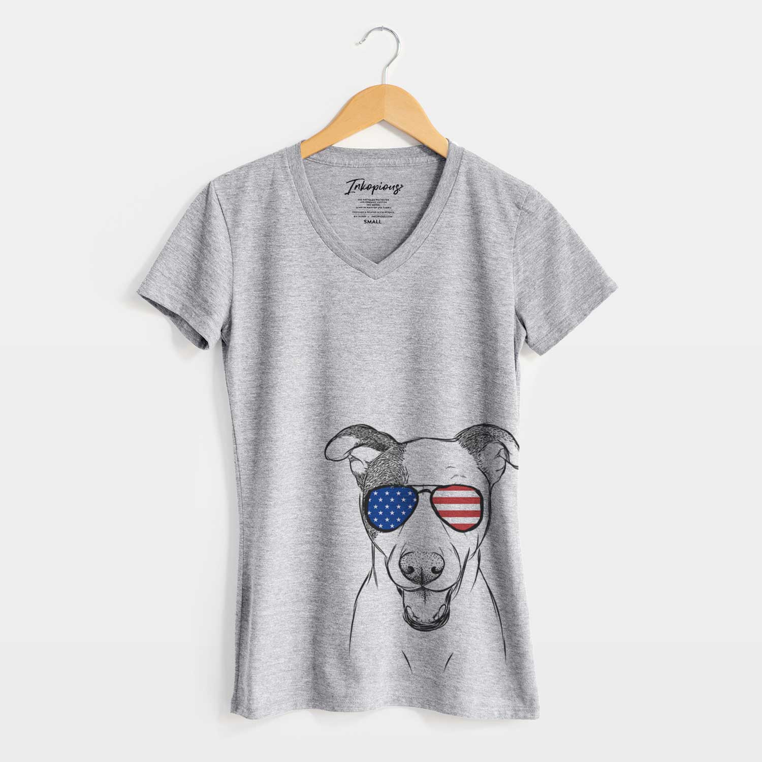 USA Bucky the Mixed Breed - Women's Perfect V-neck Shirt