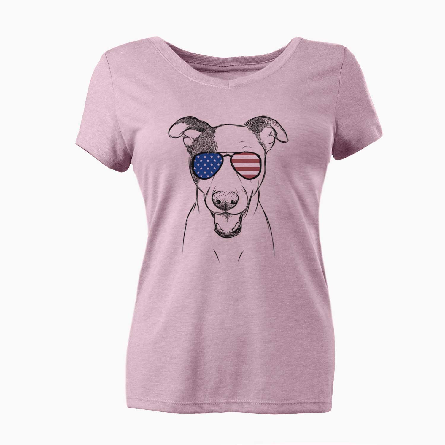 USA Bucky the Mixed Breed - Women's Perfect V-neck Shirt