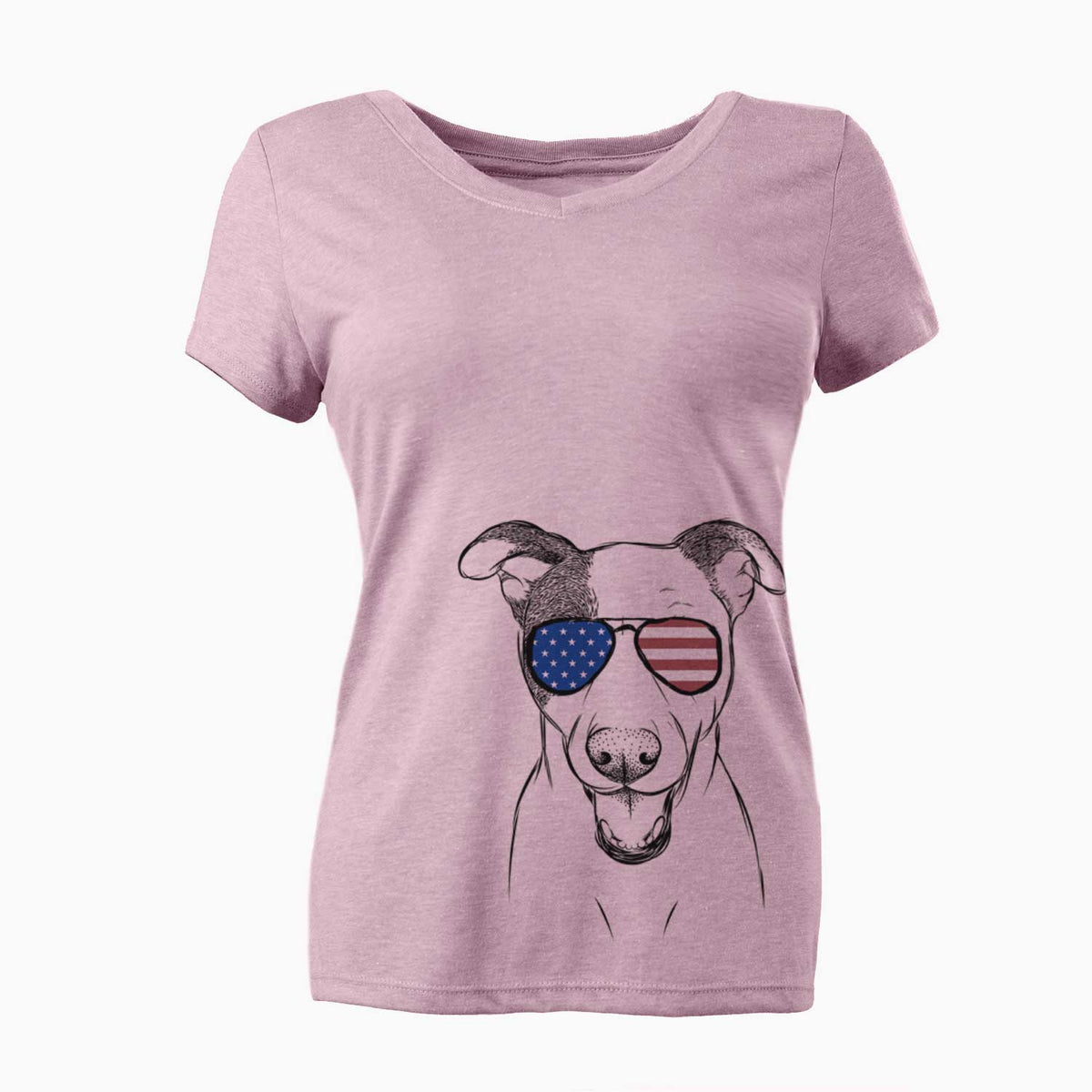 USA Bucky the Mixed Breed - Women's Perfect V-neck Shirt