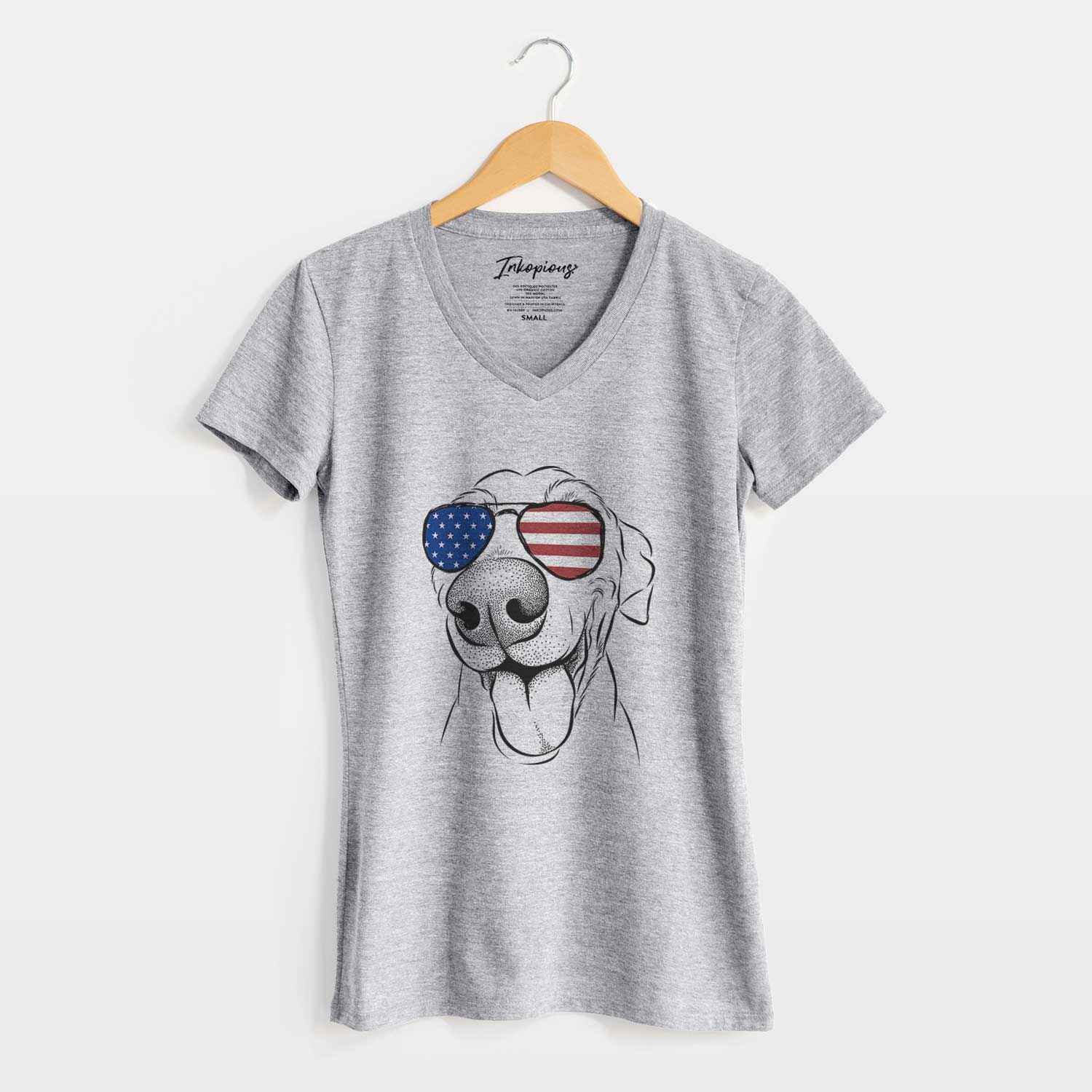 USA Buddy the Buddy the Sato / American Village Dog - Women's Perfect V-neck Shirt