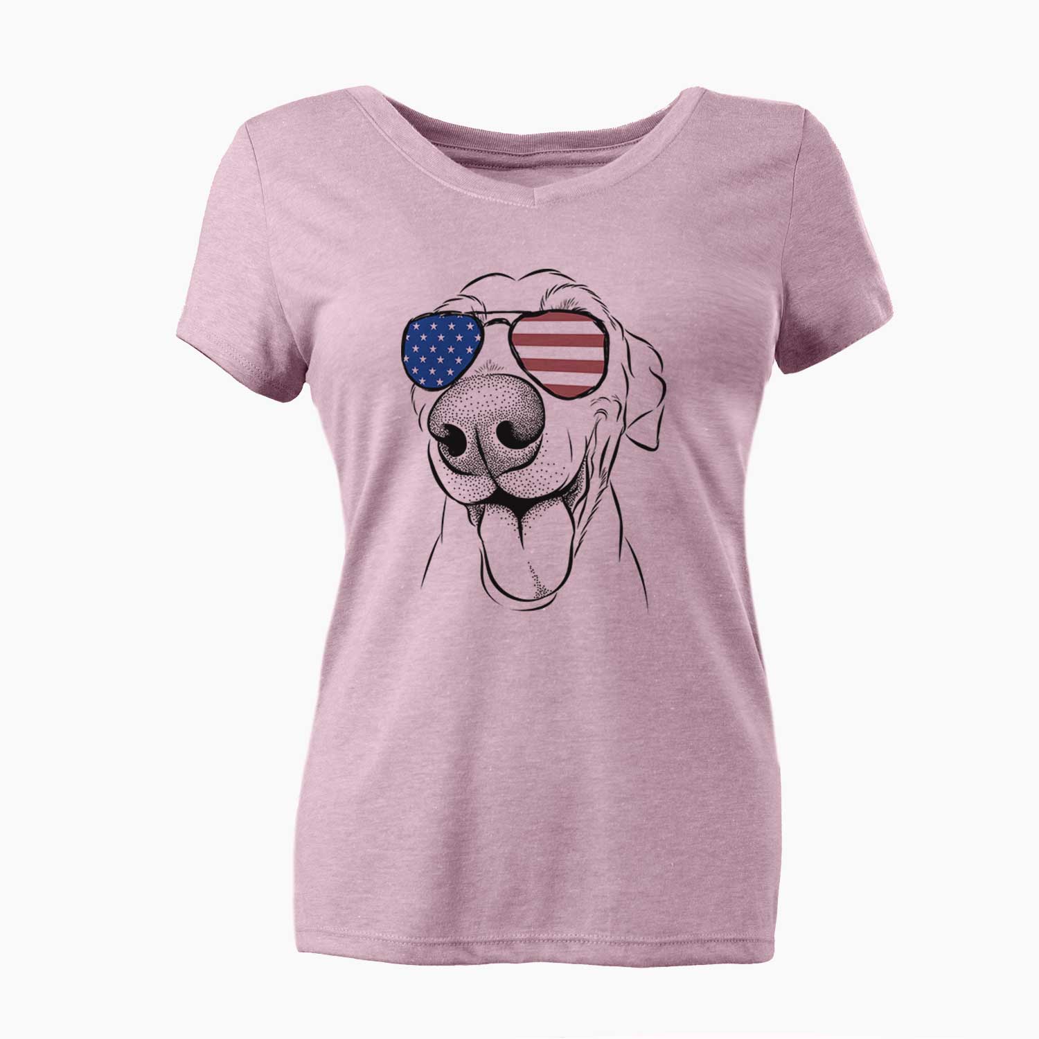 USA Buddy the Buddy the Sato / American Village Dog - Women's Perfect V-neck Shirt