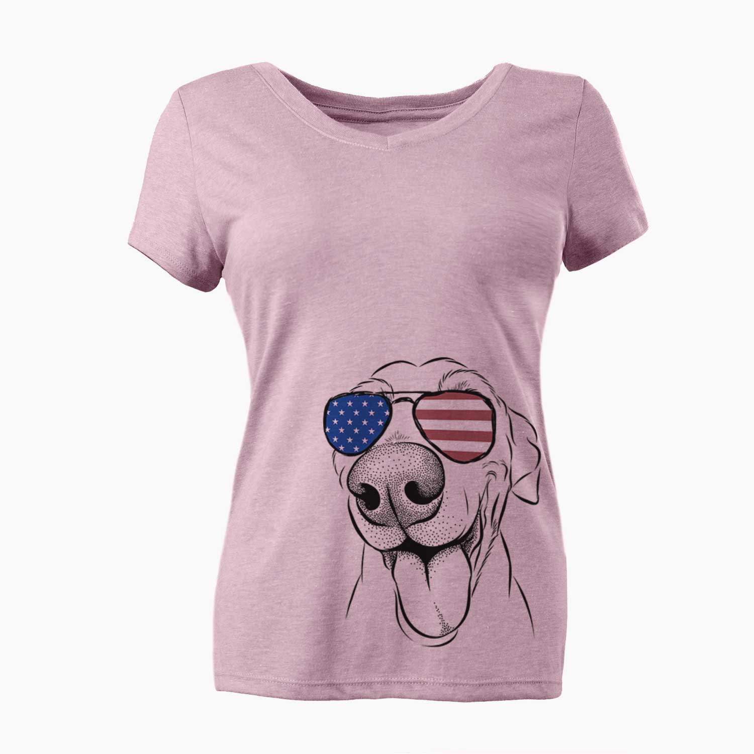 USA Buddy the Buddy the Sato / American Village Dog - Women's Perfect V-neck Shirt