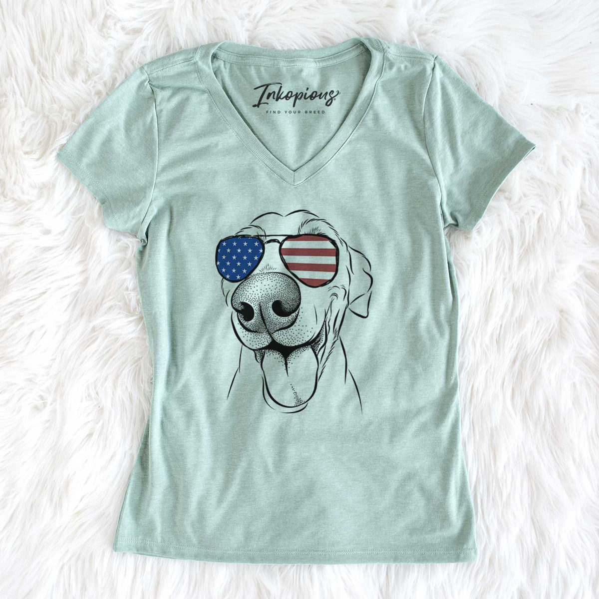 USA Buddy the Buddy the Sato / American Village Dog - Women's Perfect V-neck Shirt
