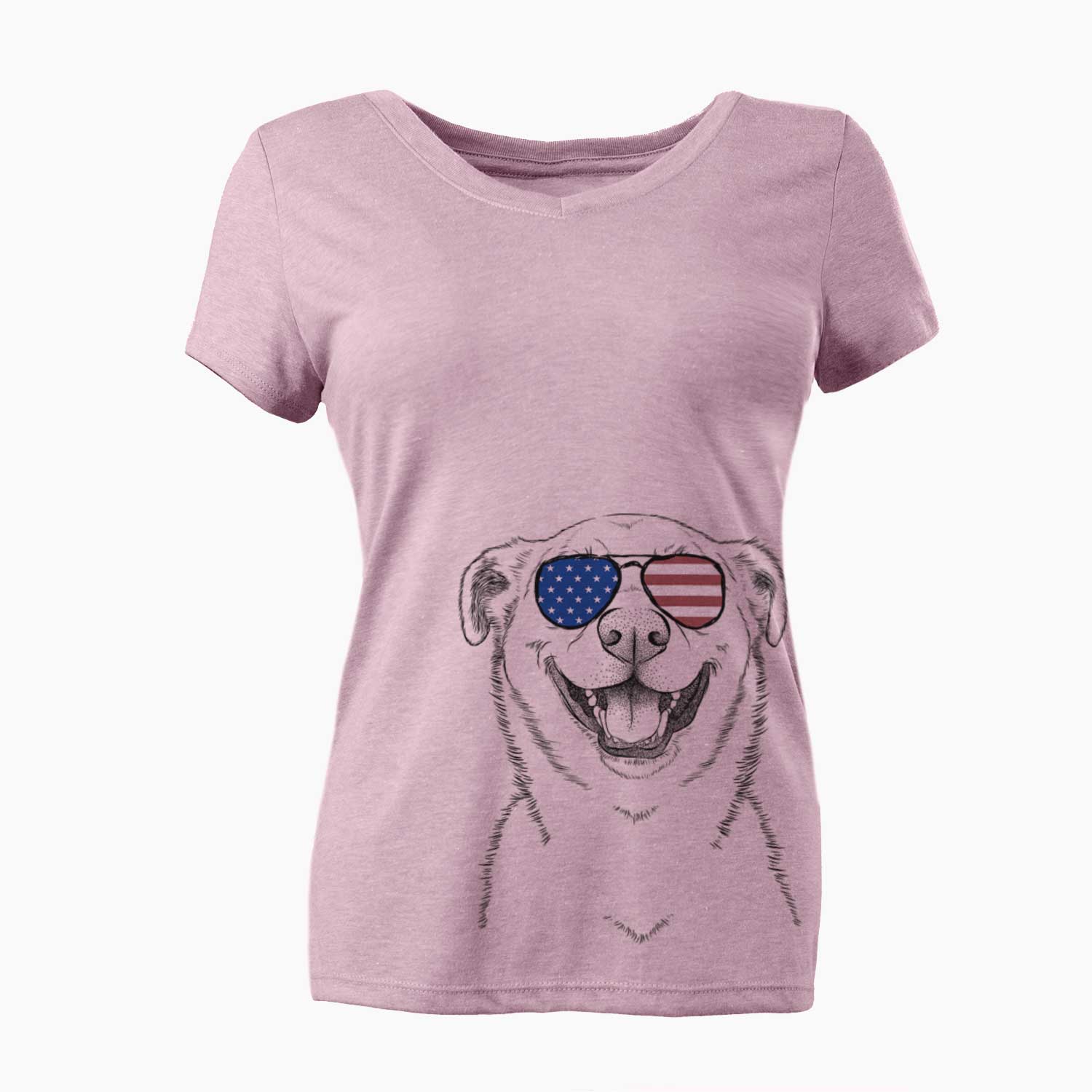 USA Chancellor the Mixed Breed - Women's Perfect V-neck Shirt