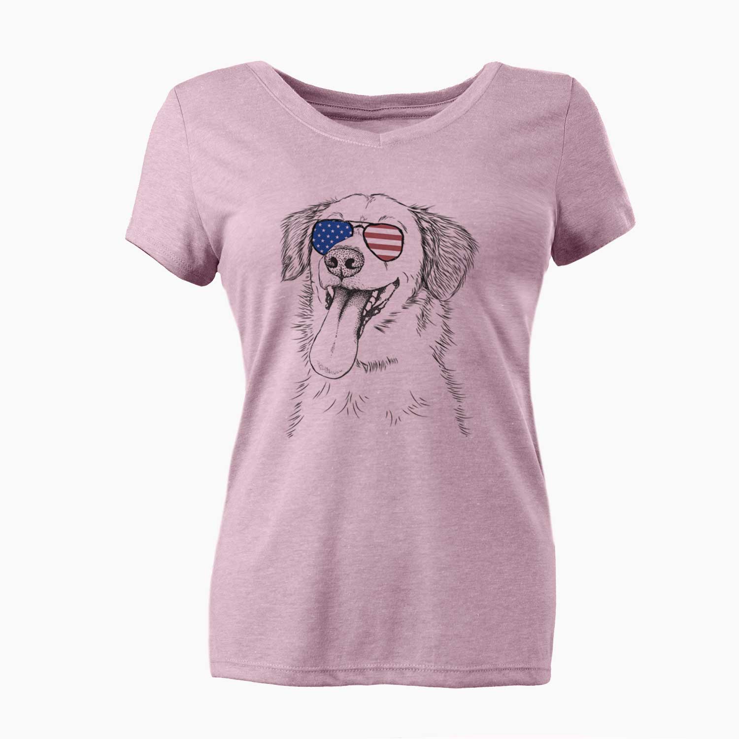 USA Charles Xavier the Mixed Breed - Women's Perfect V-neck Shirt