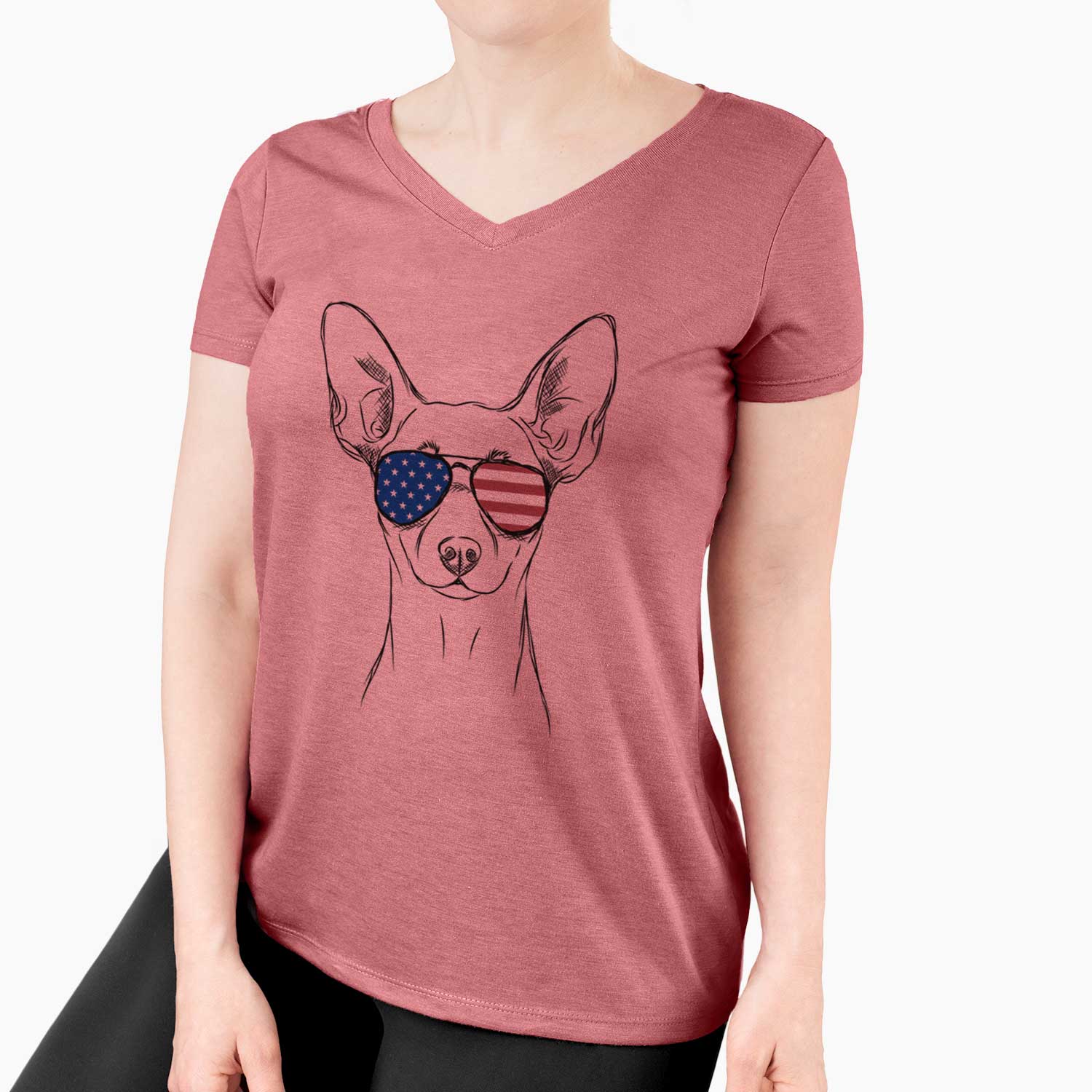 USA Chillie the Mini Pinscher - Women's Perfect V-neck Shirt