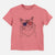 USA Chloe the Tabby Cat - Kids/Youth/Toddler Shirt