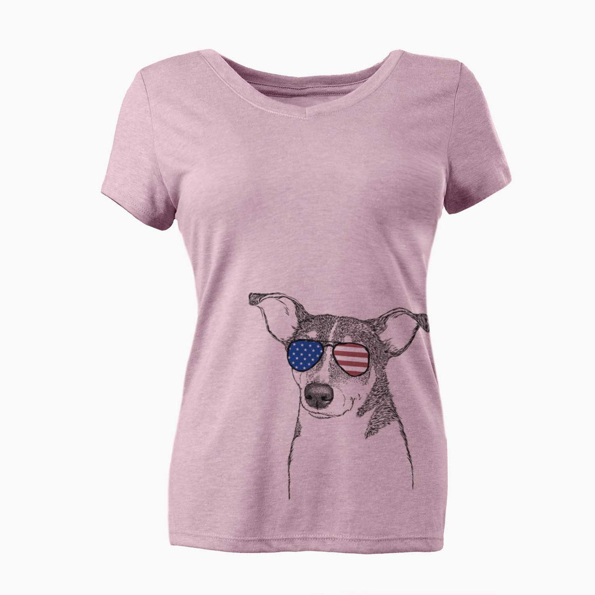 USA Cleo the Terrier Mix - Women's Perfect V-neck Shirt