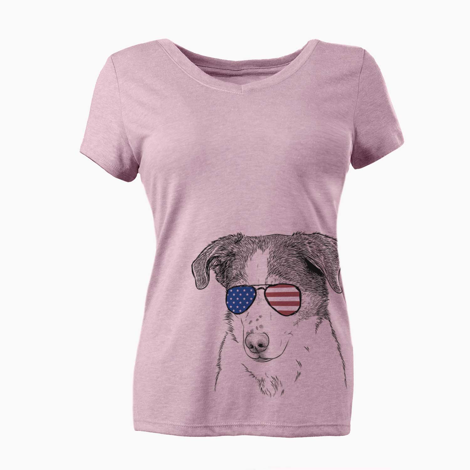 USA Coco the Beagle Mix - Women's Perfect V-neck Shirt