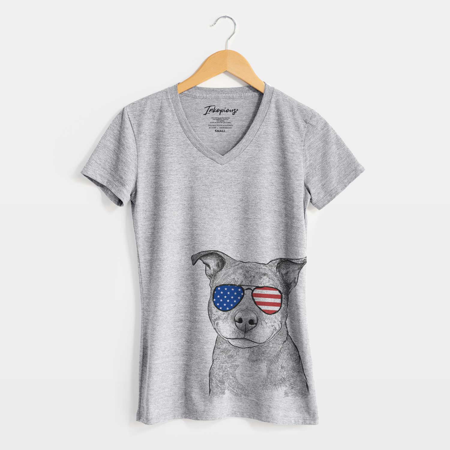 USA Cody the Catahoula Mix - Women's Perfect V-neck Shirt