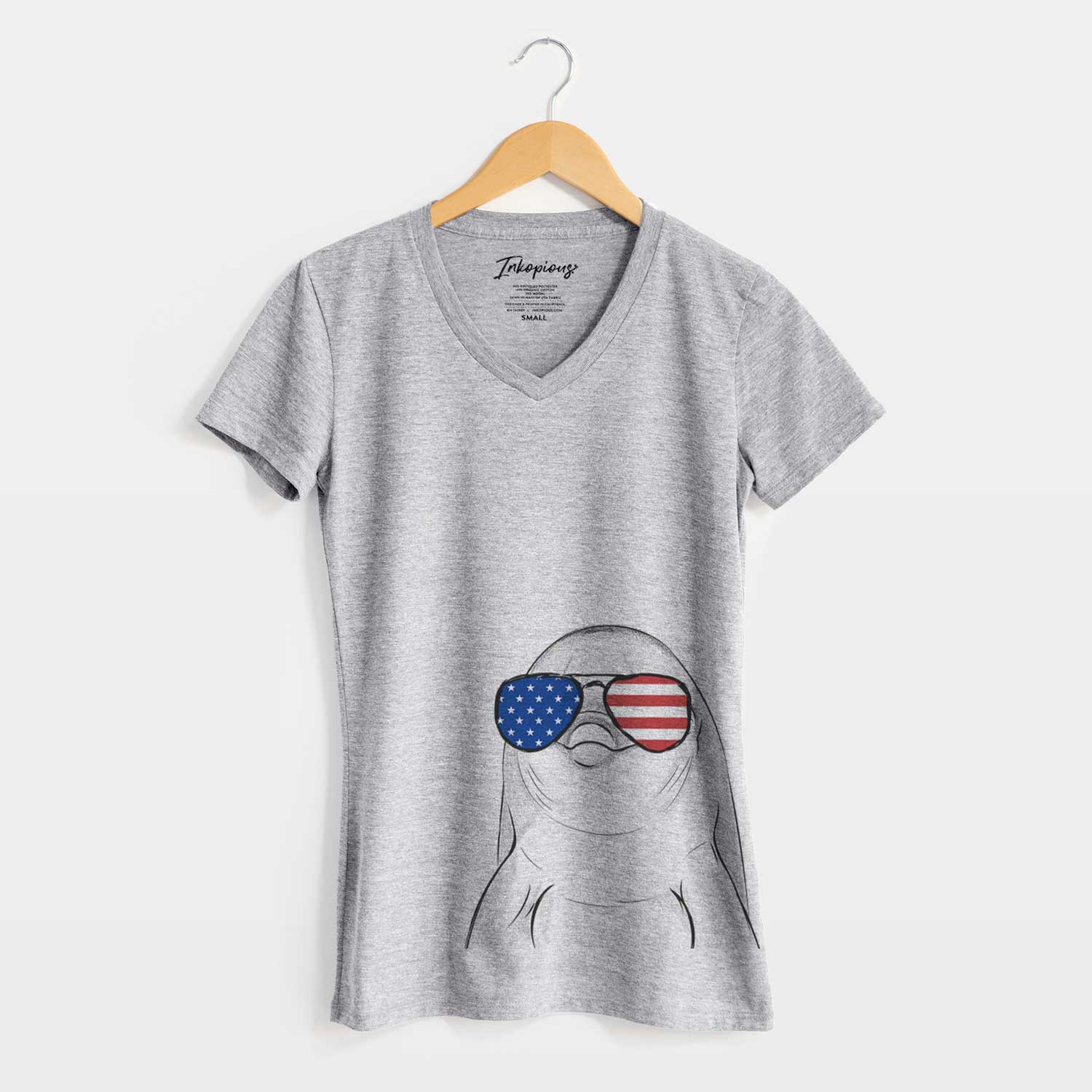 USA Dave the Dolphin - Women's Perfect V-neck Shirt