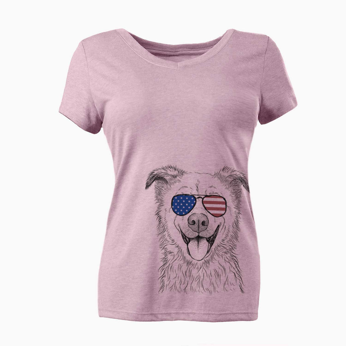 USA Dawson the Mixed Breed - Women's Perfect V-neck Shirt
