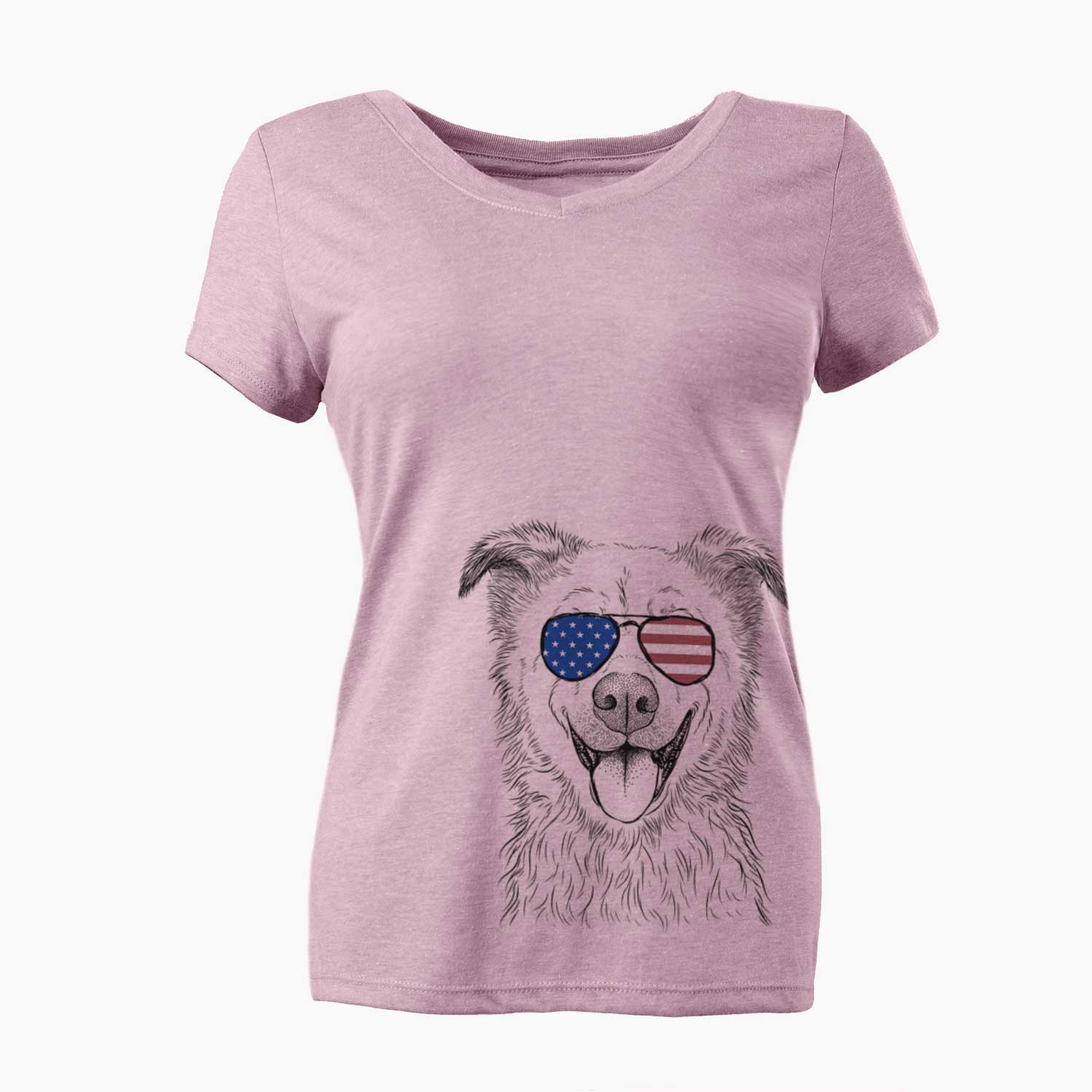 USA Dawson the Mixed Breed - Women's Perfect V-neck Shirt