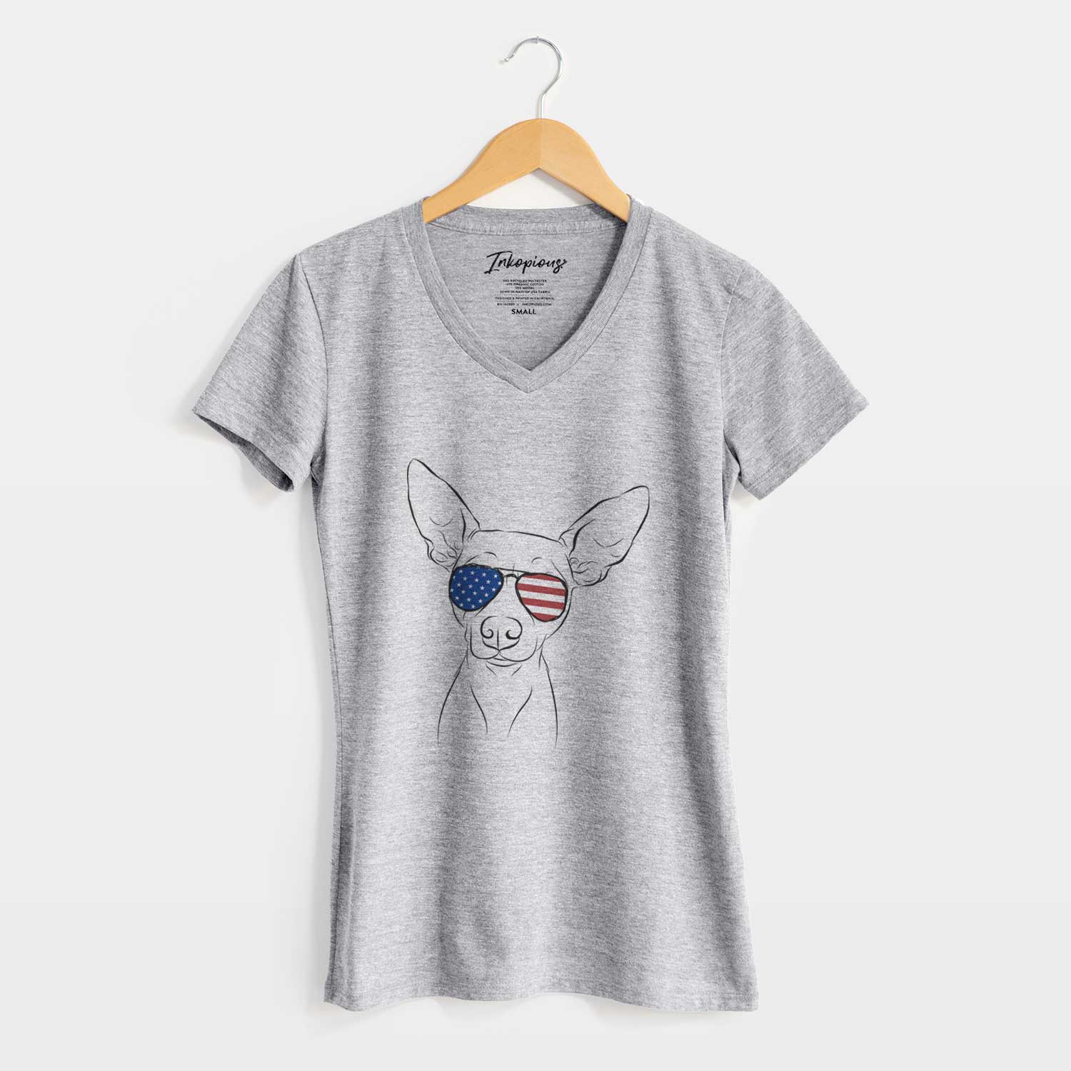 USA Desi the American Hairless Terrier - Women's Perfect V-neck Shirt