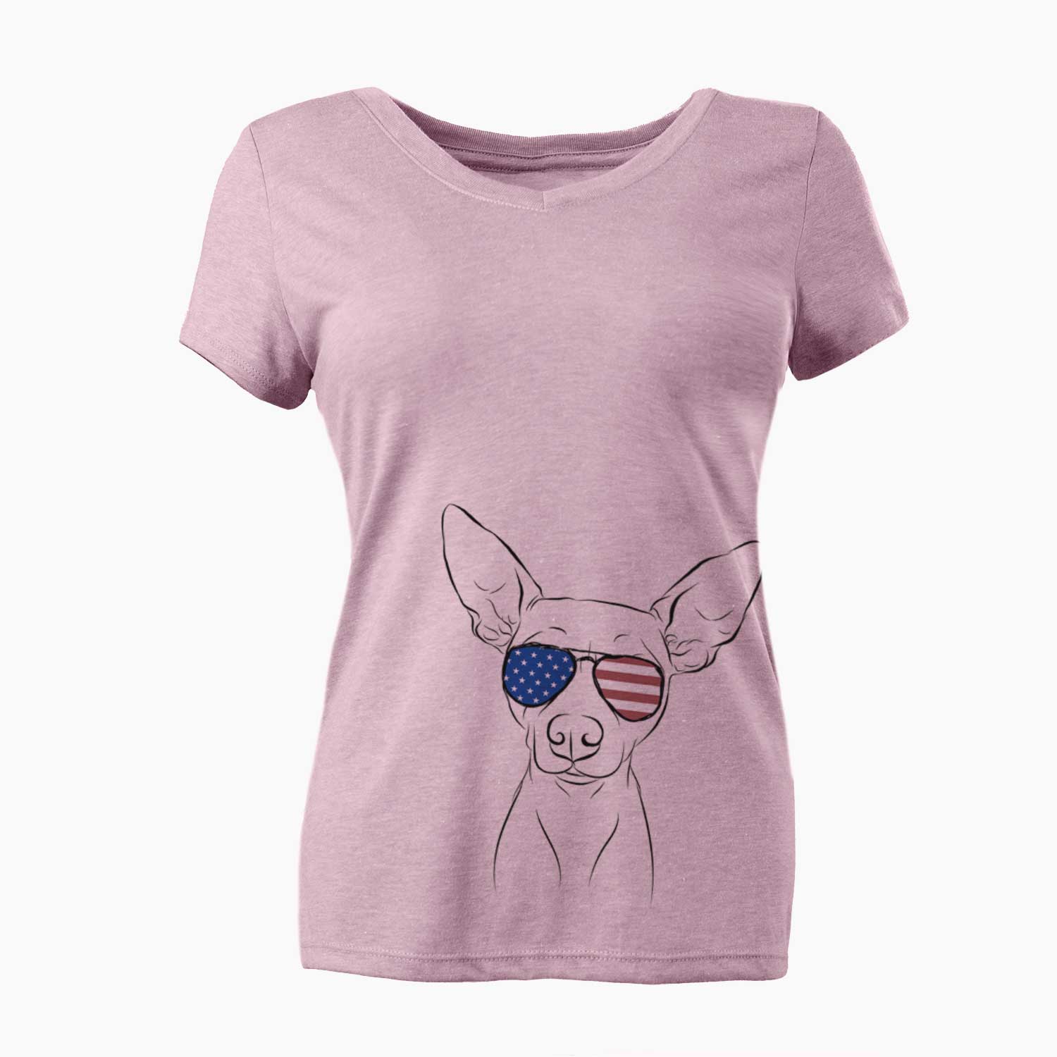 USA Desi the American Hairless Terrier - Women's Perfect V-neck Shirt