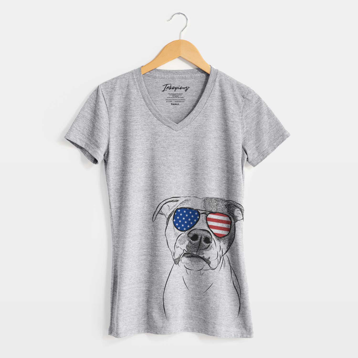 USA Dexter the Pitbull - Women's Perfect V-neck Shirt