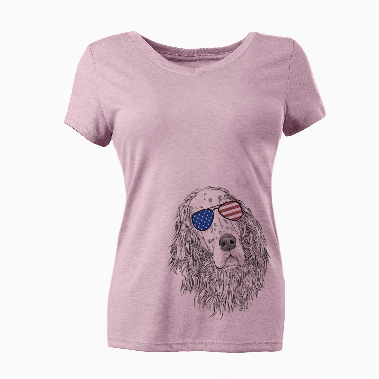 USA Dexter the English Setter - Women's Perfect V-neck Shirt