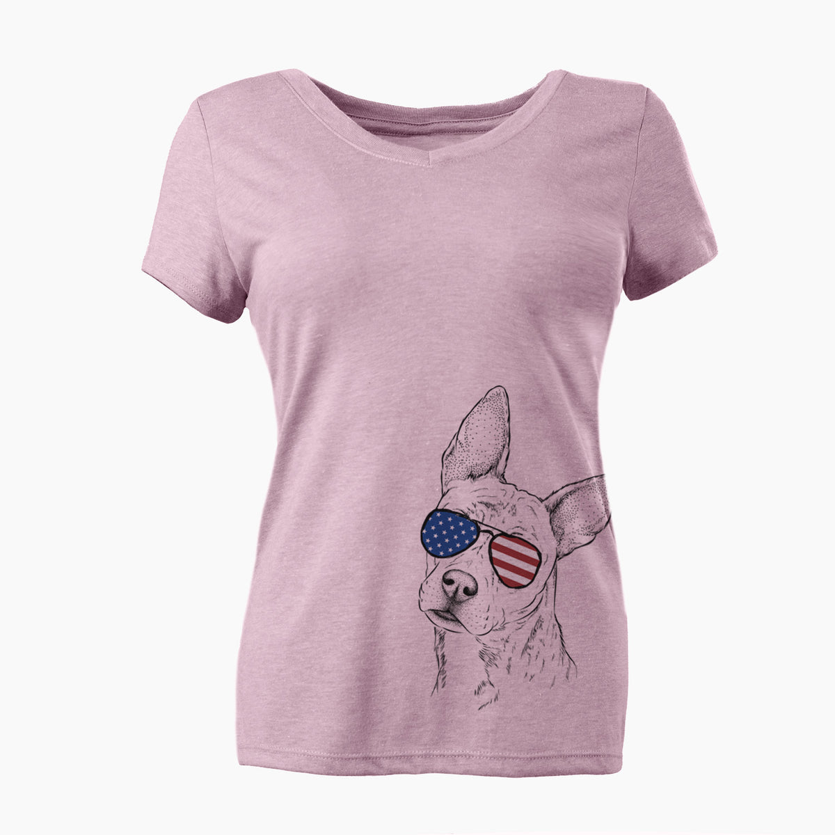 USA Diesel the Mixed Breed - Women's Perfect V-neck Shirt