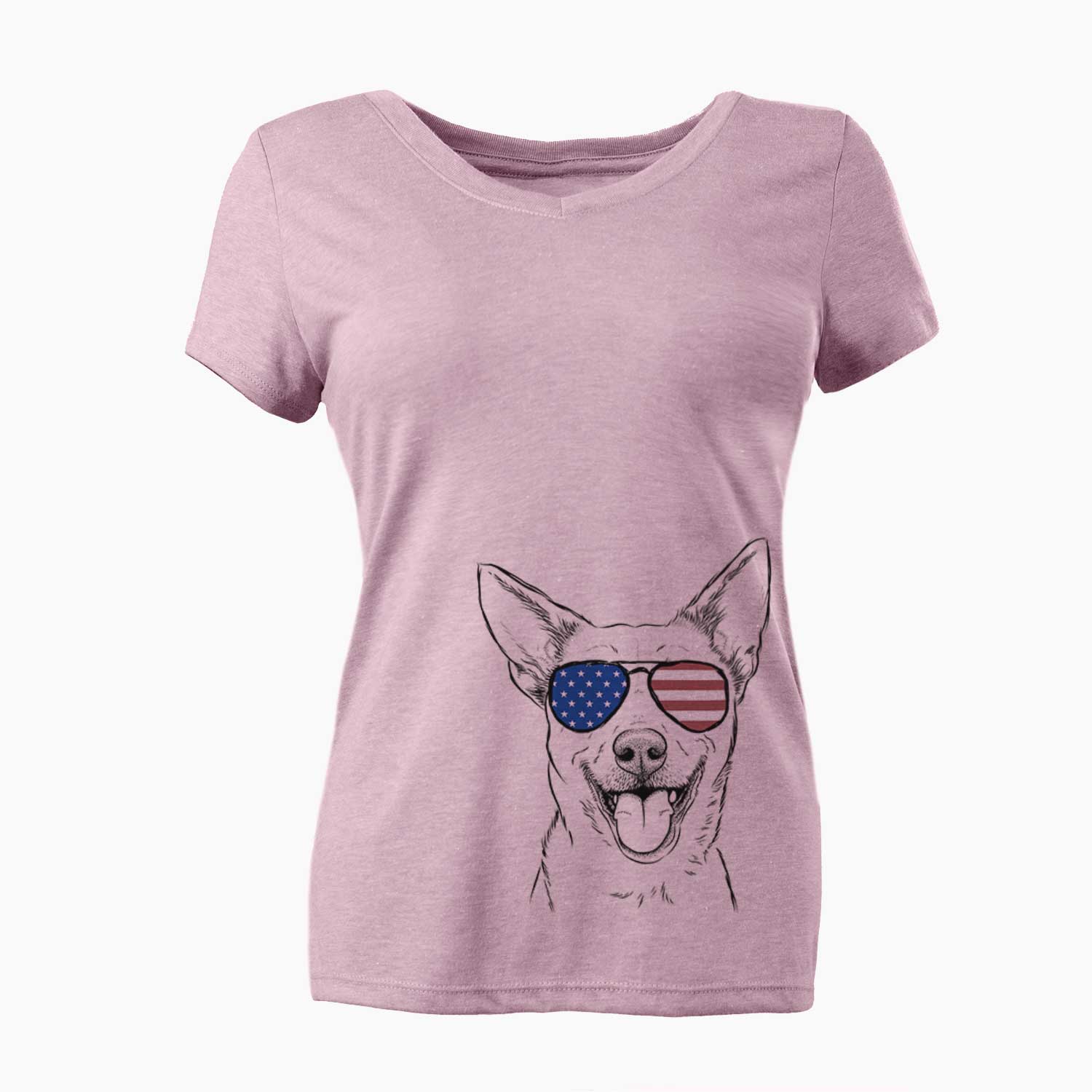 USA Dinghy the Mixed Breed - Women's Perfect V-neck Shirt