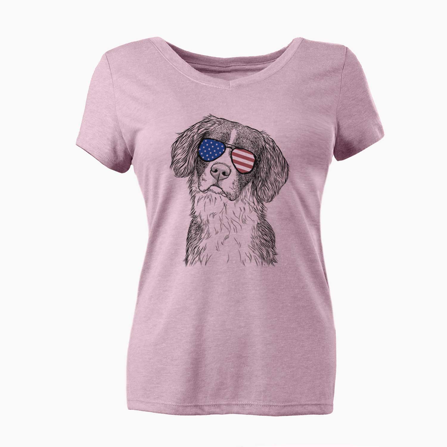 USA Dulce  the Drentsche Patrijshond - Women's Perfect V-neck Shirt