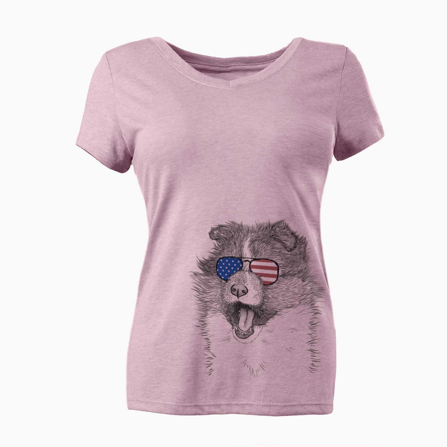 USA Dylan the Shetland Sheepdog - Women's Perfect V-neck Shirt