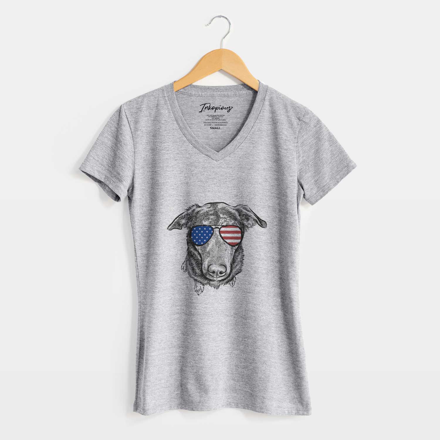 USA Echo the Pitbull Beagle Mix - Women's Perfect V-neck Shirt