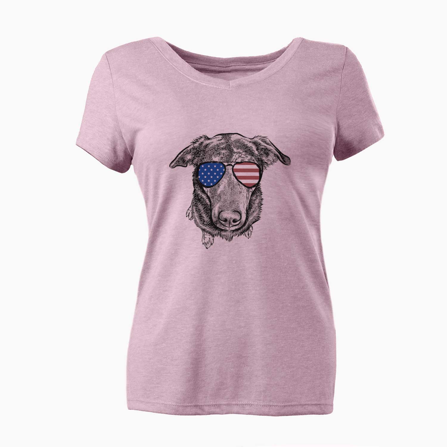 USA Echo the Pitbull Beagle Mix - Women's Perfect V-neck Shirt