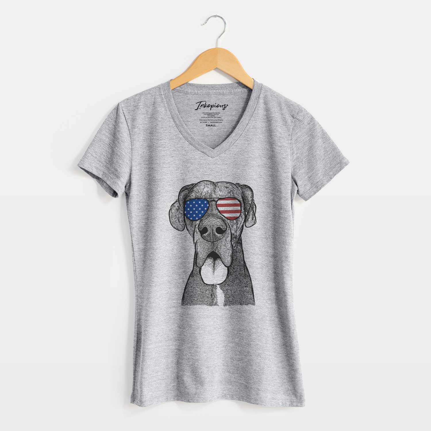 USA Eli the Great Dane - Women's Perfect V-neck Shirt