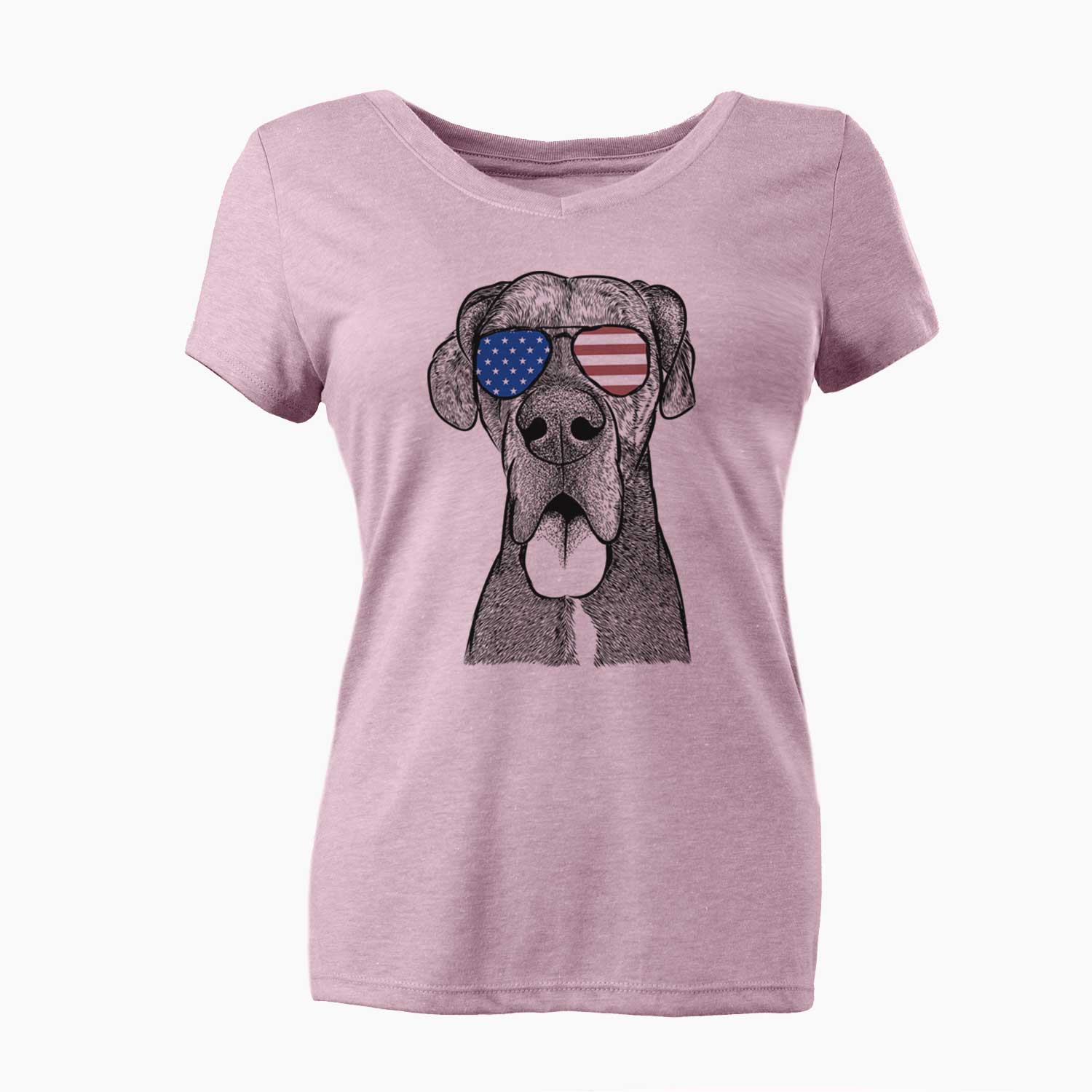 USA Eli the Great Dane - Women's Perfect V-neck Shirt